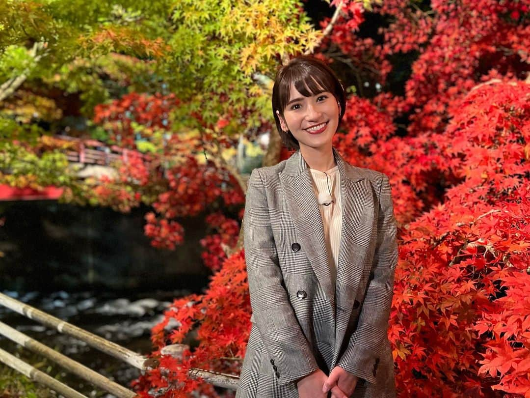 澤田愛美さんのインスタグラム写真 - (澤田愛美Instagram)「.  きょうのハレのちあした18時台では 見頃を迎えている黒石市・中野もみじ山から 生中継でお伝えしました🍁  じゃらんが発表した 圧巻だと思う夜の紅葉絶景ランキングで 1位に輝いた中野もみじ山✨ 幻想的で美しい景色が広がっていましたよ🥺  今年は例年より 1週間ほど遅い色づきとのこと。 ライトアップはあさって5日までですが、 その後も1週間ほどは日中に楽しめそうです！  .    #ハレのちあした #ニュース #紅葉 #青森 #黒石市 #中野もみじ山 #中継 #アナウンサー」11月3日 23時43分 - amy____oxox