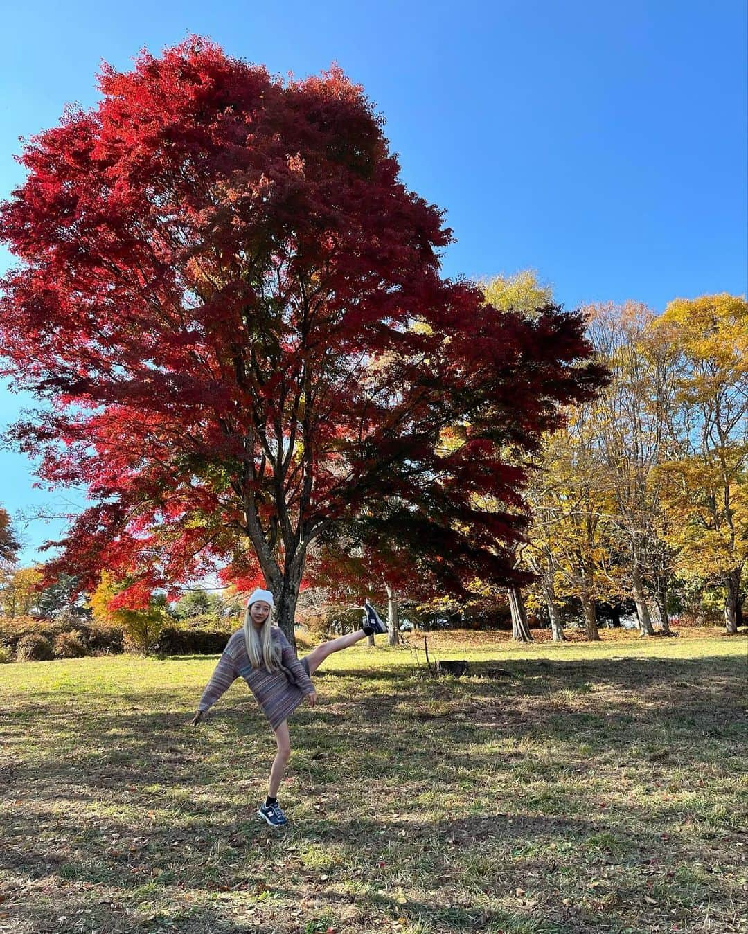 坂本礼美さんのインスタグラム写真 - (坂本礼美Instagram)「. . ♡11月3日♡  また一つ歳を重ねました🐰🪽🩷(34)  お祝いメッセージありがとうございます🥲♡♡♡  私を産んでくれた大好きなママに感謝する、大切な日😌🫶🏻💭💭 ままありがとう🩷だいすきだよー🩷  #おたんじょうび #🐰 #🩷」11月3日 23時48分 - remi_1103