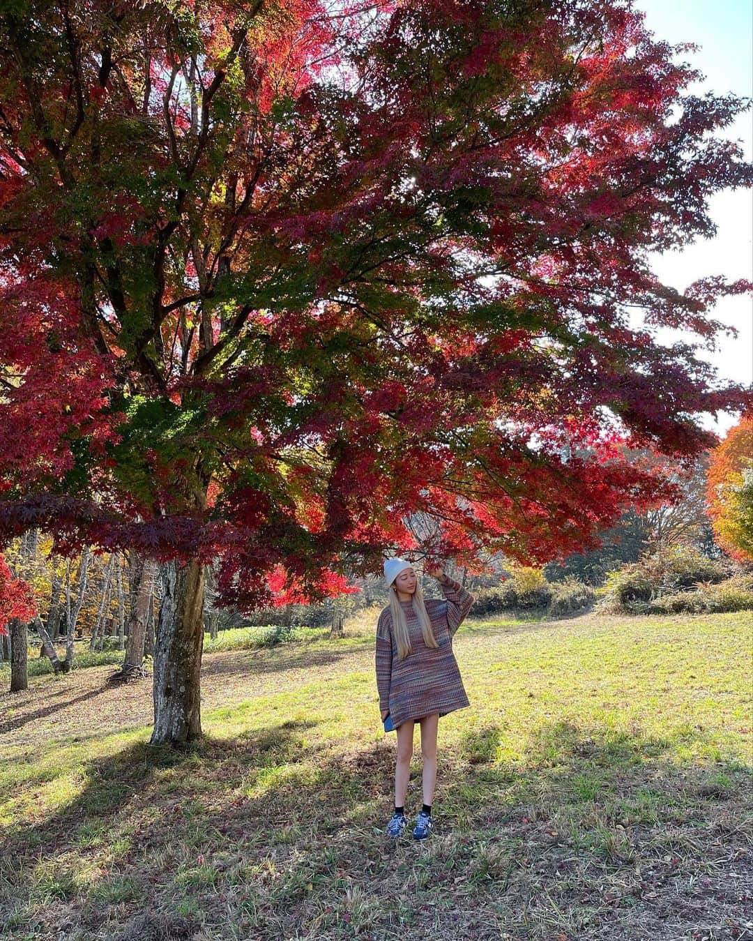 坂本礼美のインスタグラム：「. . ♡11月3日♡  また一つ歳を重ねました🐰🪽🩷(34)  お祝いメッセージありがとうございます🥲♡♡♡  私を産んでくれた大好きなママに感謝する、大切な日😌🫶🏻💭💭 ままありがとう🩷だいすきだよー🩷  #おたんじょうび #🐰 #🩷」