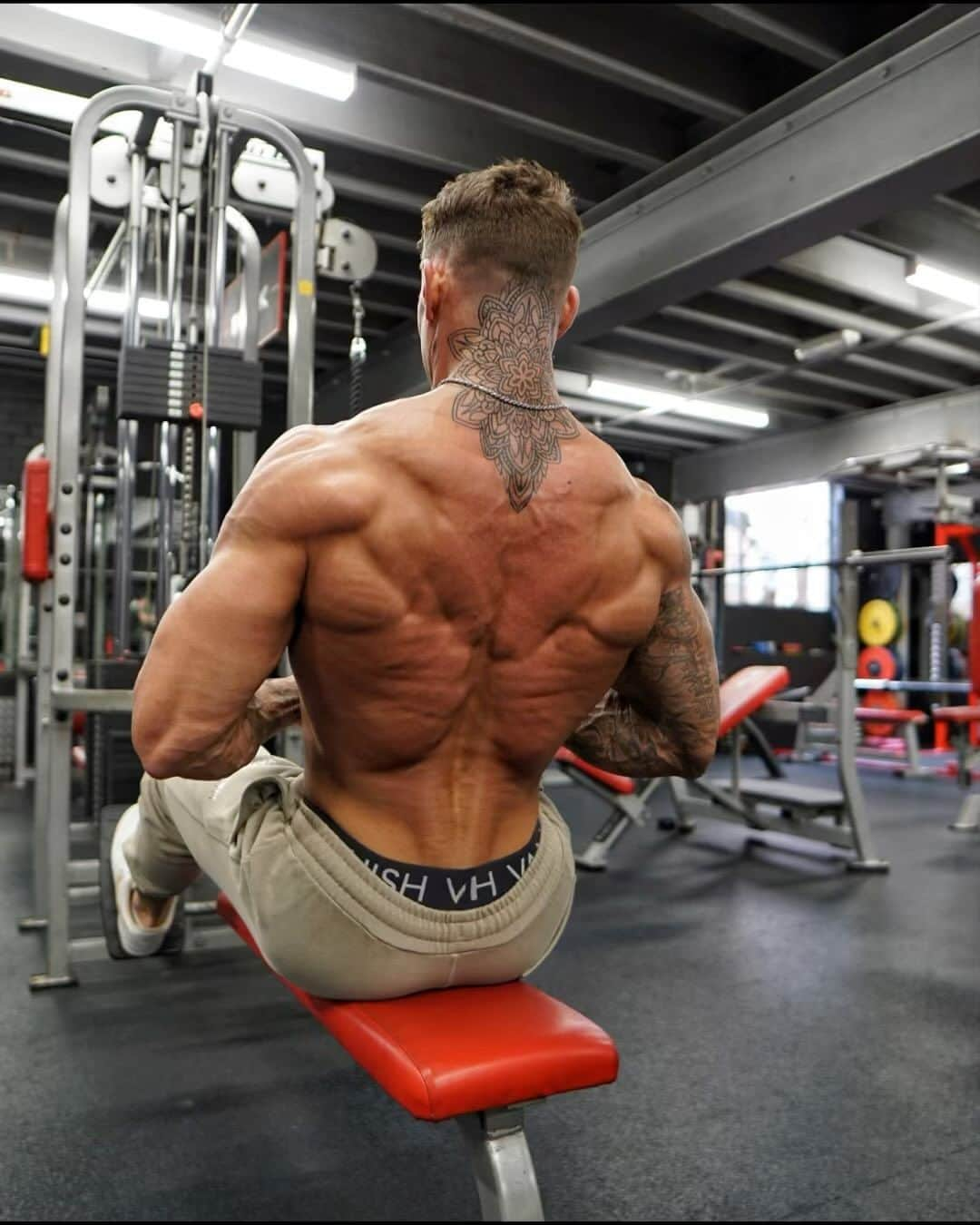 ロス・ディッカーソンのインスタグラム：「Back Day💪Save & smash this ‘Drop Set’ back workout & grow those wings | Tag@ a friend who needs this! Trackies by @vqfit - Seated Row - 3 x 10-12 (Every Set, Drop Set) Lat Pull Down - 3 x 10-12 (Every Set, Drop Set) Seated Row - 3 x 10-12 (Drop Set Into Upper  Back Row) Pull Overs - 3 x 10-12 Reverse Fly - 3 x 10-12 (90sec Rest Between Sets & 2min Between Exercises, DON’T BE A B*TCH) - #backworkout #bodybuilder」