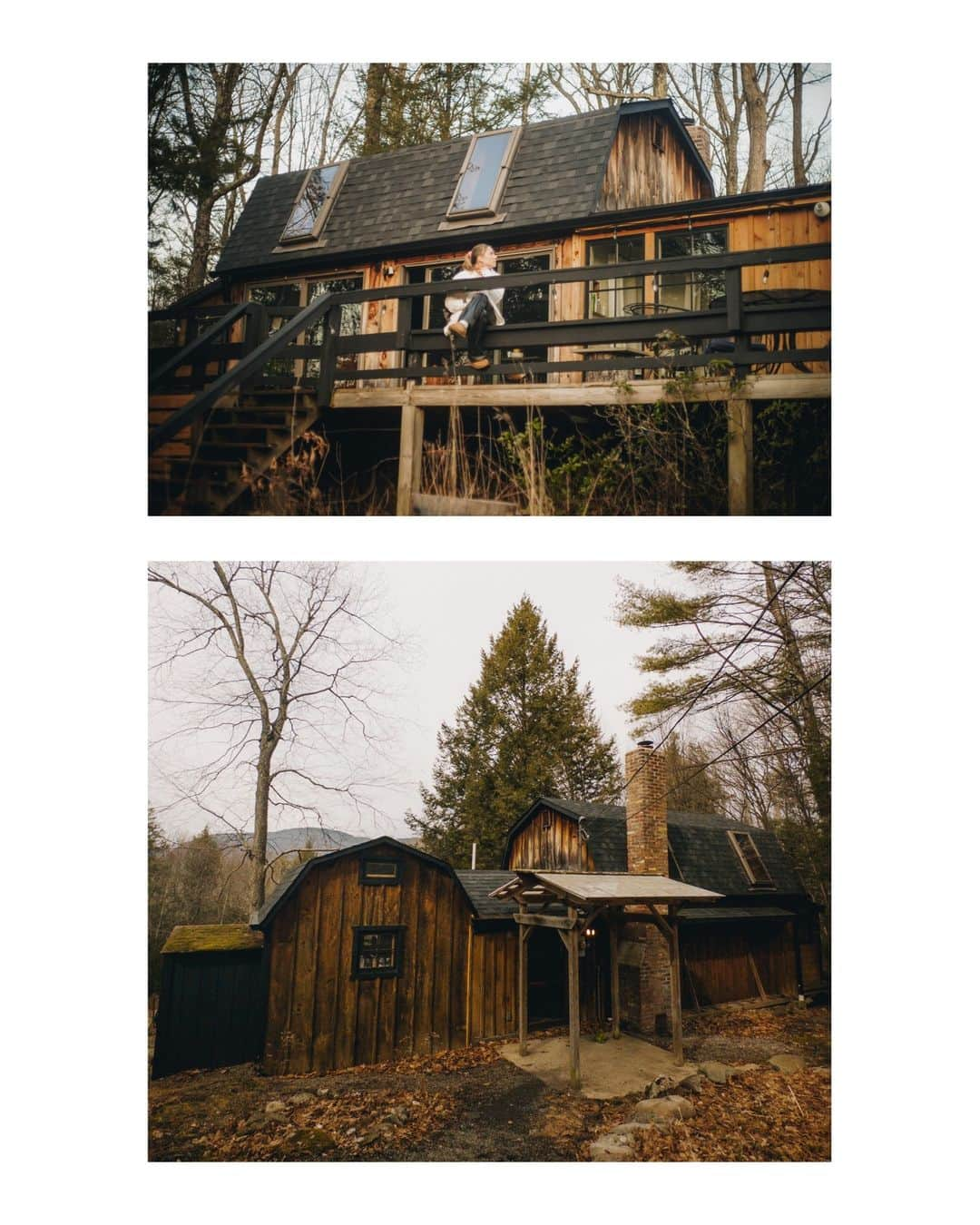 Airbnbさんのインスタグラム写真 - (AirbnbInstagram)「Plenty of room for Duke to stretch his legs.  🏡 Secluded Forest Getaway 📍 Catskill, New York, USA 📷 Photos by @magszerbe」11月4日 0時35分 - airbnb