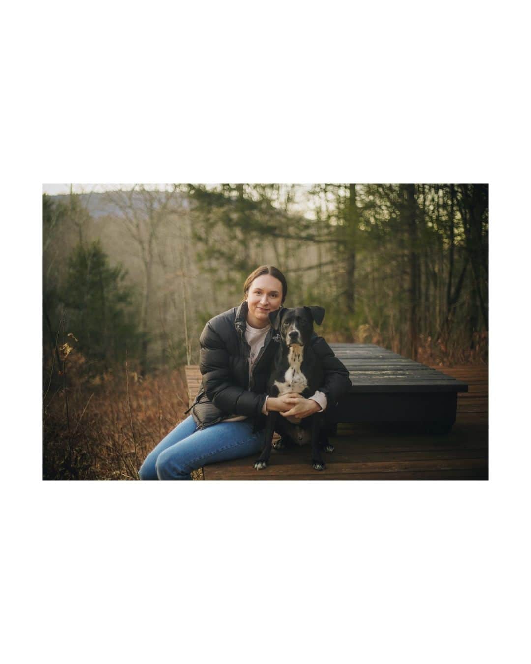 Airbnbさんのインスタグラム写真 - (AirbnbInstagram)「Plenty of room for Duke to stretch his legs.  🏡 Secluded Forest Getaway 📍 Catskill, New York, USA 📷 Photos by @magszerbe」11月4日 0時35分 - airbnb
