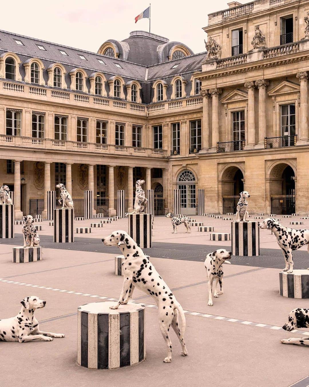 My Little Parisのインスタグラム：「Faire tâche.  🇬🇧: Say “wouaf”.  (📸: @graymalin )」