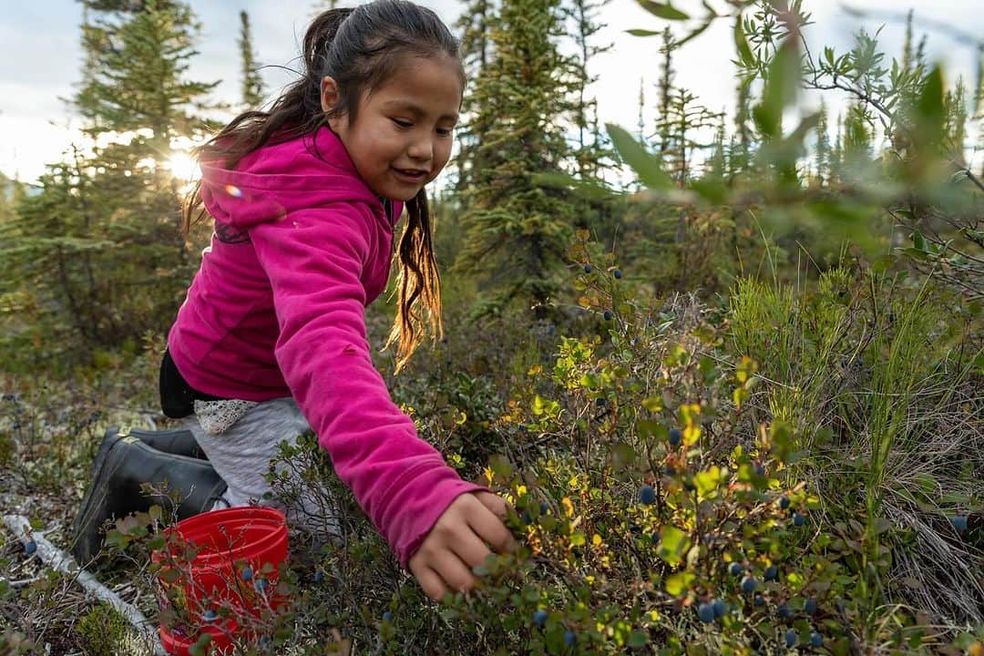 patagoniaさんのインスタグラム写真 - (patagoniaInstagram)「For decades, local Native communities have fought to defend the Arctic National Wildlife Refuge from oil lobbyists and politicians in Washington, DC, who’ve sought to open their homelands for extraction. And with each year of organizing, the Gwich'in have witnessed the damaging impacts of a warming climate on their lands and livelihoods.   Recently, President Biden announced plans to cancel illegal oil leases that had been granted by the Trump administration. But with no guarantee of a permanent drilling ban on federal lands, the Refuge is still at risk.   Stand with local communities in their fight to defend the Refuge. Submit a public comment before November 7 through the link in bio to tell President Biden that stronger climate policy and permanent protections for the Refuge go hand in hand.  Photos: Florian Schulz (@florianschulzvisuals), Austin Siadak (@austin_siadak), Keri Oberly (@kerioberly)」11月4日 1時30分 - patagonia