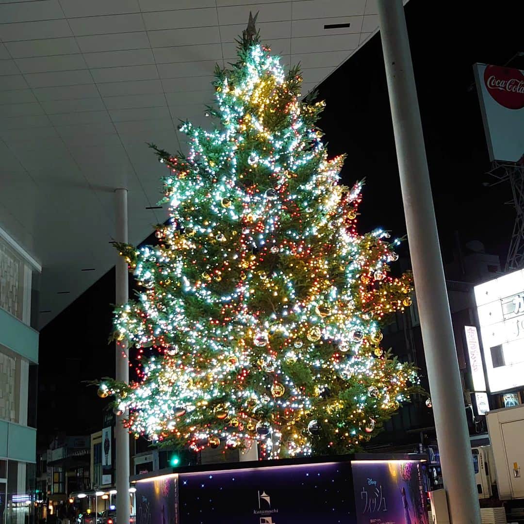 長塚全さんのインスタグラム写真 - (長塚全Instagram)「メリークリスマスツリー」11月4日 2時28分 - zen_nagatsuka