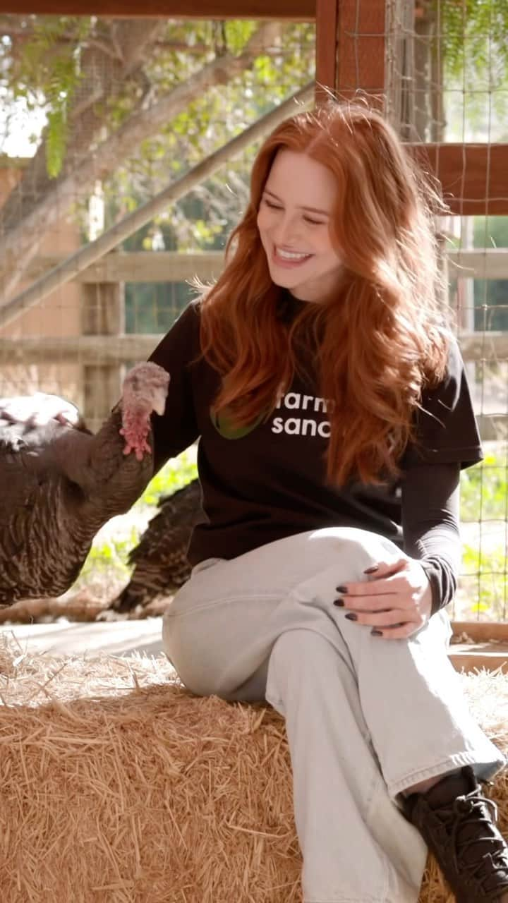 マデライン・ペッチのインスタグラム：「so honored to join @farmsanctuary this year with their adopt a turkey campaign. this has been a thanksgiving tradition in my family for over a decade 🦃❤️ link in bio」