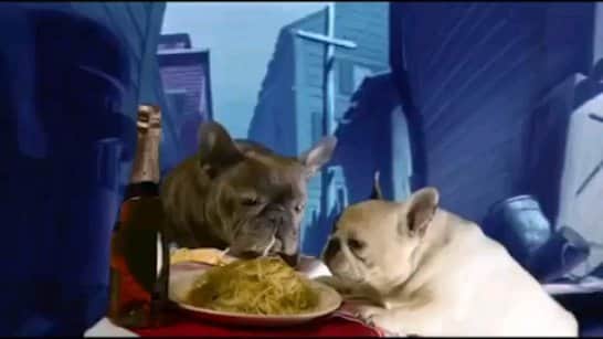 Manny The Frenchieのインスタグラム：「A silly little video from Manny and @frank_the_funnyfrenchie 🍝😂 #ladyandthetramp」
