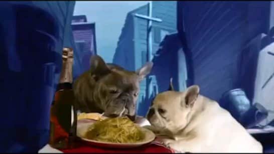 Manny The Frenchieのインスタグラム