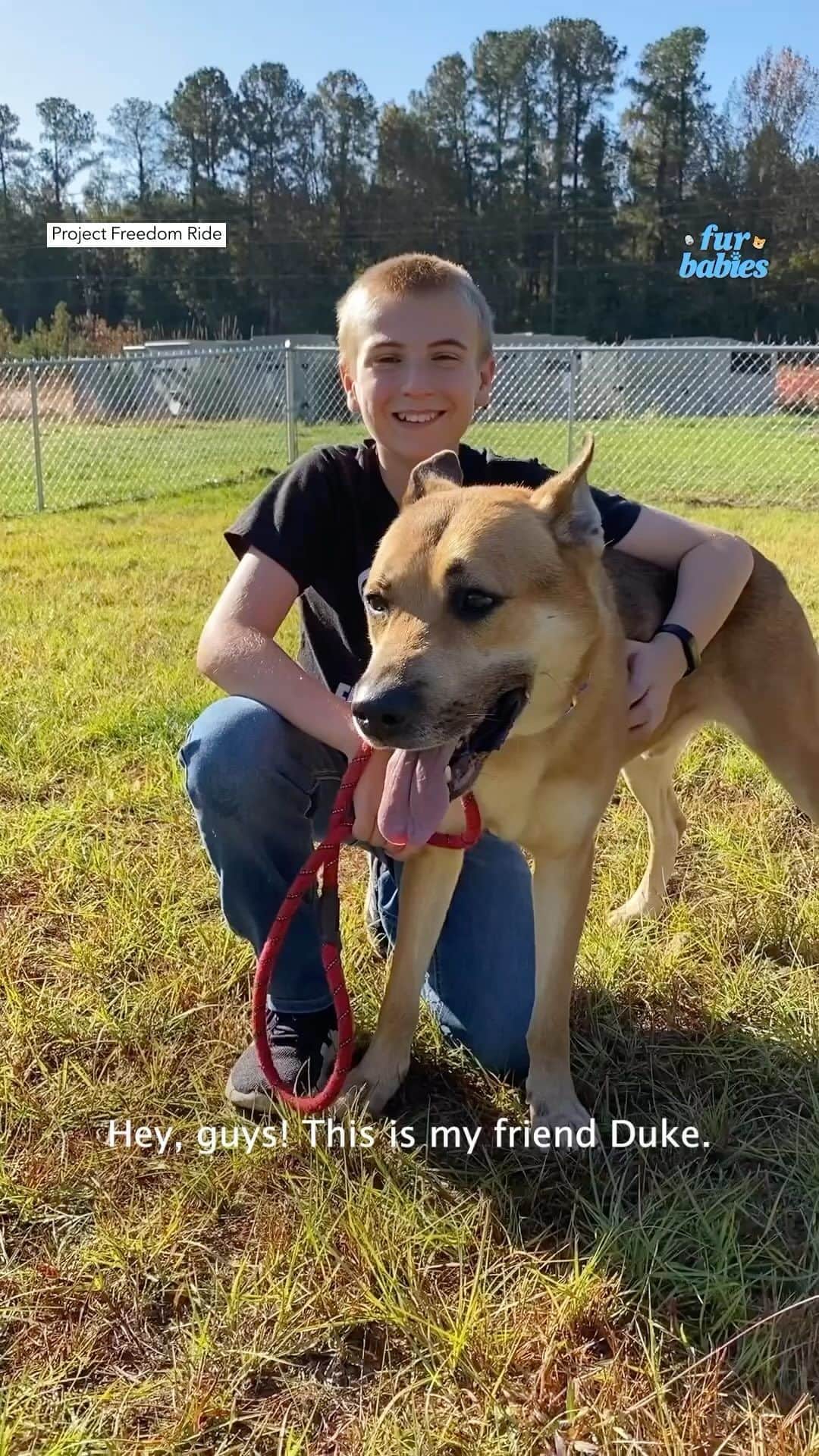 Good Morning Americaのインスタグラム：「This incredible 12-year-old rescues over 4,800 dogs through his nonprofit! 😮🐕  #Furbabies #Dogs #Rescue #Nonprofit @projectfreedomride」