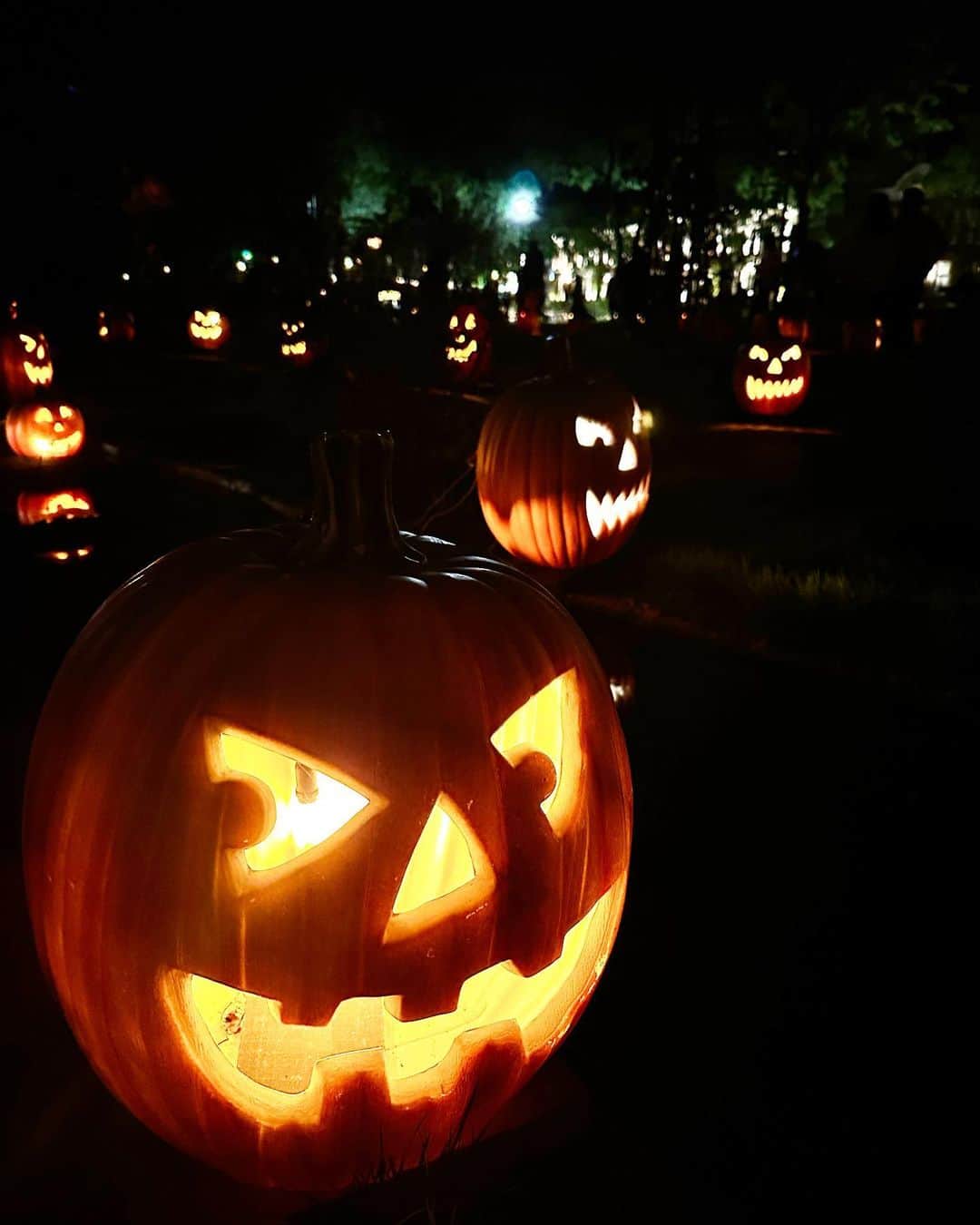 K͎A͎R͎E͎N͎のインスタグラム：「🎃  #huistenbosch #ハウステンボス #happyhalloween」