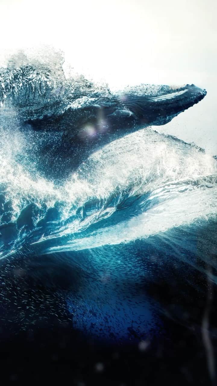 The CWのインスタグラム：「The oceans hold a deep secret. Stream every episode of #TheSwarm free on The CW, link in bio.」