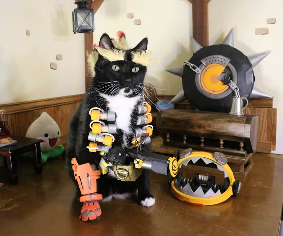 猫コスプレのインスタグラム：「Junkcat  #Overwatch」