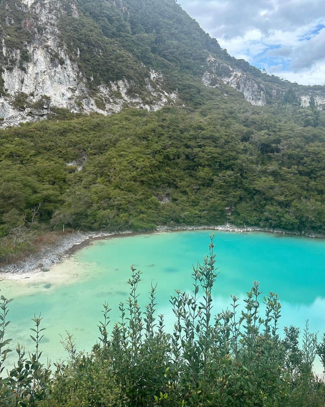 ジェネビーブ・モートンさんのインスタグラム写真 - (ジェネビーブ・モートンInstagram)「How amazing is this?!?! Here is some info from newzealand.com “Rainbow Mountain’s Maori name is Maungakakaramea, meaning ‘mountain of coloured earth’. The mountain top is an unusual rounded knob, known as Tihi-o-Rua - ‘the owl’s perch’.  Although it has a very volcanic past, Rainbow Mountain has cooled over recent years, allowing the native vegetation to slowly begin regenerating. Some plant species found on the mountain are very rare and grow only in geothermal areas. An information panel highlights special features of the vegetation at the start of two fascinating walking tracks.  The Crater Lakes Walk offers great views of two volcanic craters set against a backdrop of bare brown, orange and red steaming cliffs. The Summit Track leads you up through regenerating native vegetation and past steaming rainbow-coloured rocks. The climb to the summit is rewarded with magnificent 360-degree views of the surrounding Rotorua lakes, forests and mountains. You can also see south to distant Lake Taupo and the towering volcanic peaks of Tongariro National Park.”」11月4日 6時20分 - genevievemorton