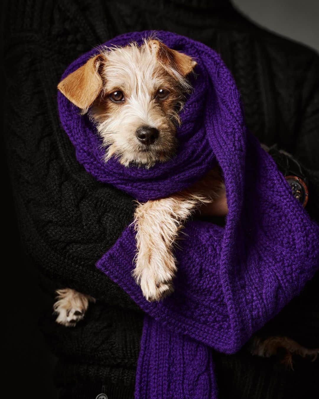 のインスタグラム：「A season of warmth expressed through #RLHoliday.  Discover the Cable-Knit Cashmere Sweater and the world of #RalphLauren Holiday 2023 via the link in bio.」