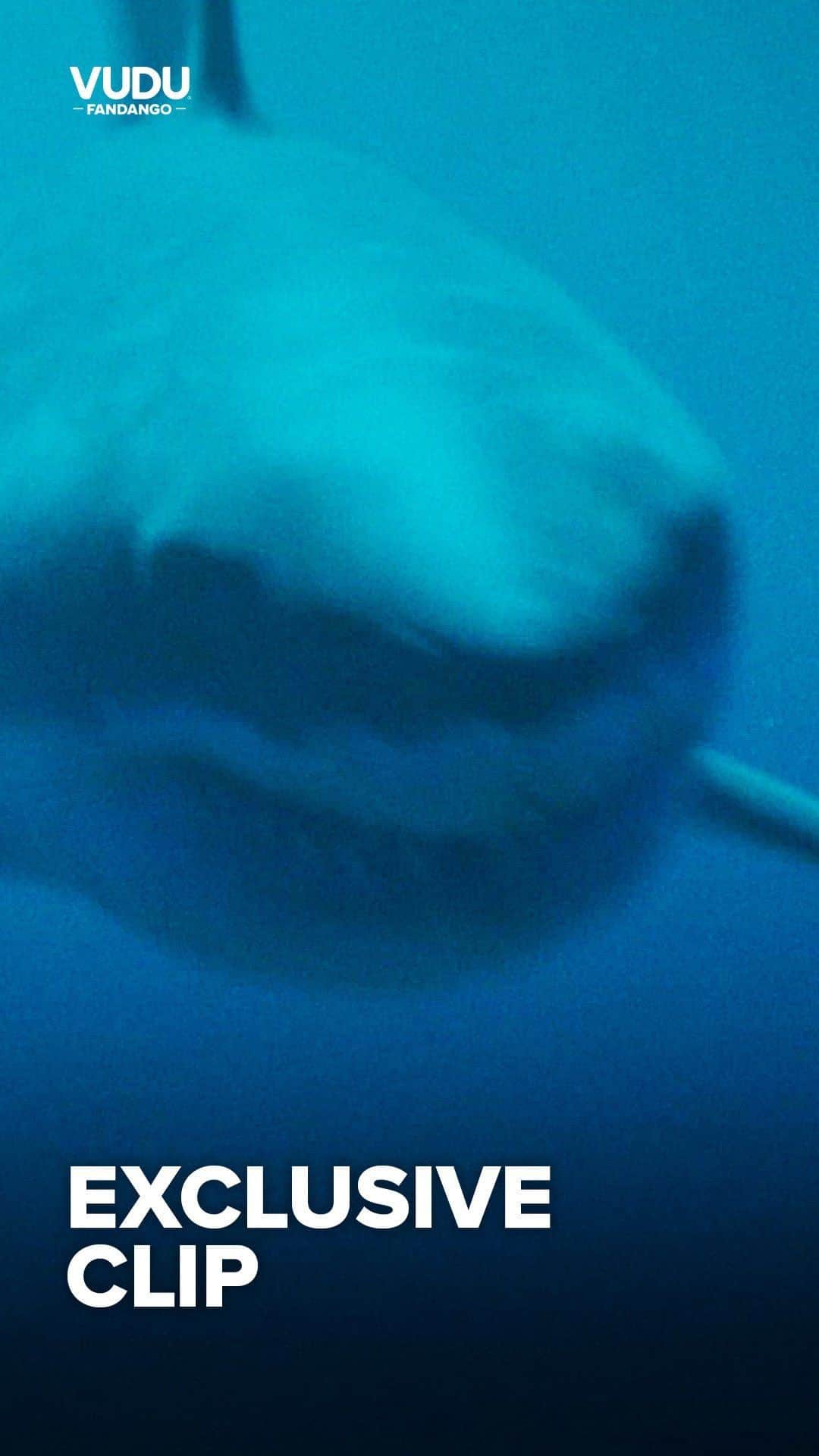エド・ウェストウィックのインスタグラム：「DEEP FEAR - its Sharks Vs. Narcs in this action packed thriller. Watch this exclusive clip, and watch the full movie on Vudu. (link in bio)」