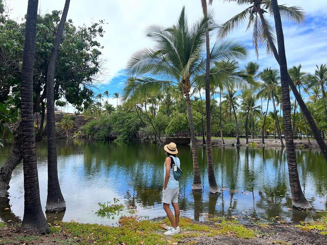 長谷川朋美さんのインスタグラム写真 - (長谷川朋美Instagram)「オーラの洞窟✨ ハワイ島で今回私たちが滞在したマウナ・ラニは、なんと世界三大パワースポットと呼ばれるうちの一つで、その上に建つホテルに宿泊していました。 @maunalaniauberge   敷地がとても広く （ゴルフ場やテニスコートもありました） 敷地全体がパワースポット化しているのですが、  中でも#フィッシュポンド と言われる いくつもの池だったり  （その中でもシークレットポンドと呼ばれる 一番のパワースポットにも行きました）  オーラが見える言われる #オーラの洞窟 にも行ってきましたよ🌈  少し曇っていたので オーラの色は出ませんでしたが めちゃくちゃ神秘的な場所でした🥺  4枚目の動画は神秘的なMovie 5枚目の動画は撮影の裏側🤣※音ありでw  敷地内をお散歩するだけでハイキングでしたよ。  ハワイ島は不思議なパワーがある島ですよね。  本当に大好き❤️  #maunalani #マウナラニ #ハワイ島 #Hawaii #bigisland」11月4日 7時06分 - hasegawa.elena.tomomi