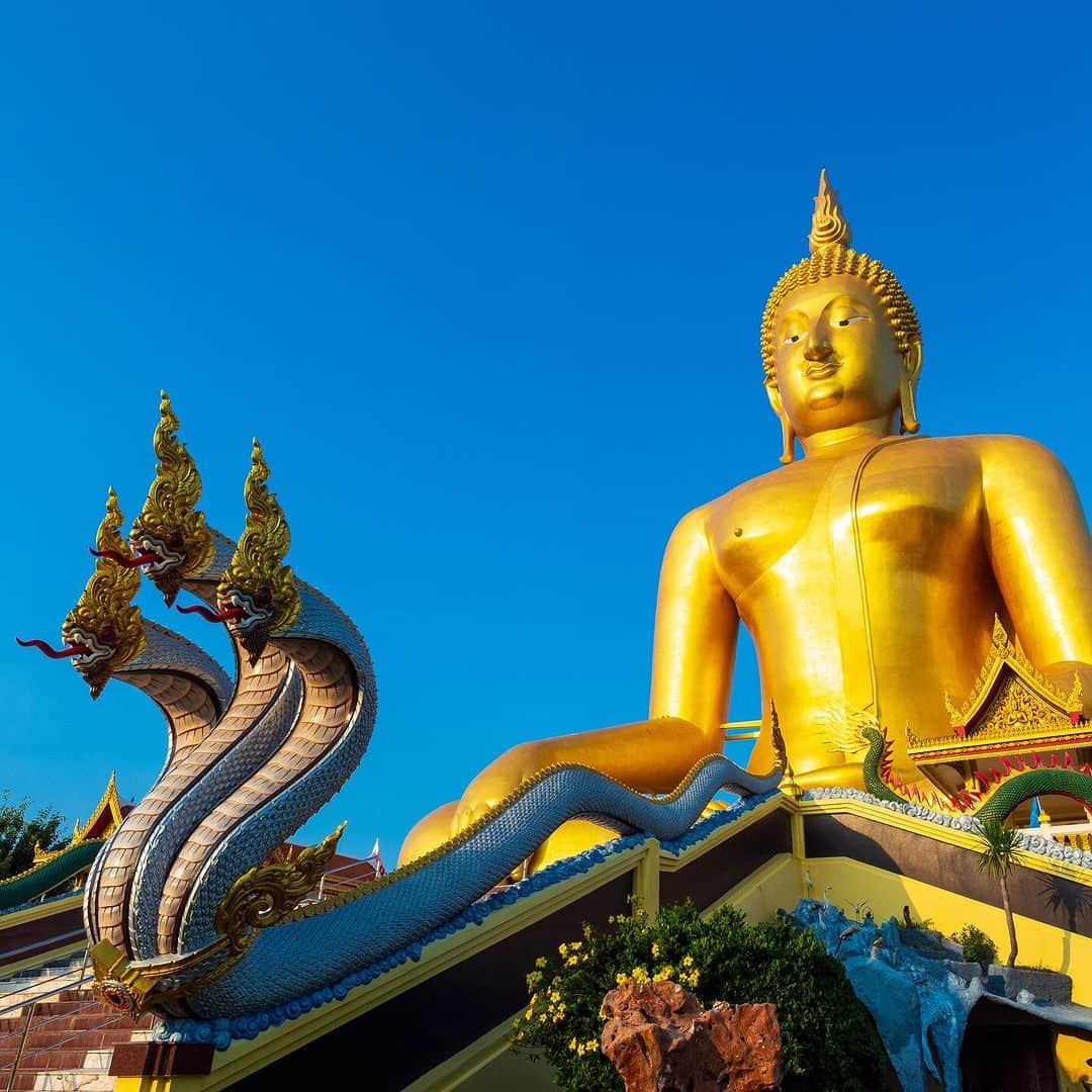 タイ国政府観光庁さんのインスタグラム写真 - (タイ国政府観光庁Instagram)「. ༉‧₊˚ 🇹🇭わざわざ行きタイ旅！ ⠀ ⋯⋯⋯⋯⋯⋯⋯⋯⋯⋯⋯⋯✈  毎週土曜日は、まだあまり知られていないタイの観光スポットをご紹介♪   今回は黄金の大きな仏像が座す「ワット・ムアン」へ✨  アユタヤ県の隣、アーントーン県は、趣深い寺院が200以上点在するエリアです💡  なかでも近年パワースポットとして注目が集まっているのが、ワット・ムアン🕊 16年かけて作られたという、幅62m、高さ93mの巨大な黄金の仏像が安置されています😌 指先にそっと触れて、お願い事をしてみましょう👉 👈  ここでタイの寺院での、一般的な参詣方法を確認👏 線香と花を手に携えたら、仏陀の前に座り、3回こうべを垂れるのが、一般的な作法です🙏　寺院ごとに独自の参拝ルールを設けている場合もあるので、参拝前に確認しておきましょう◎  なお国民の９割以上が仏教徒というタイは、敬虔な仏教国🌱　そのため寺院を参拝する際は、ノースリーブや短パンなど露出度の高い服装は避けたり、女性は僧侶の体や衣、持ち物に直接手を触れないなど、基本的なマナーを守ることも大切です💁‍♀️⚠️  ほかにもワット・ムアンには、お釈迦様の一生を描いた壁画がある本堂や、地獄を表現したレプリカなど、興味深いものがたくさん👀✨ 地獄寺としても知られています！  寺院は水田に囲まれていて、夕暮れ時に広がる幻想的な風景もアーントーンの名所となっています🌅  ☆「行ってみたい！」：いいね❤をタップ ★「参考になった！」：保存ボタン🔖をタップ  #タイ #アーントーン #ワットムアン #タイ寺院 #お寺巡り #仏像 #パワースポット #神秘的 #今こそタイへ #こんなタイ知らなかった #もっと知りタイ #はじめてのタイ #タイ旅行 #アーントーン旅行 #旅好きな人と繋がりたい #海外旅行 #地獄寺 #thailand #angthong #angthongtrip #watmuang #temple #buddhastatue #thainess #amazingthailand #thailandtravel #thailandtrip #thaistagram #lovethailand #amazingnewchapters」11月4日 18時02分 - amazingthailandjp
