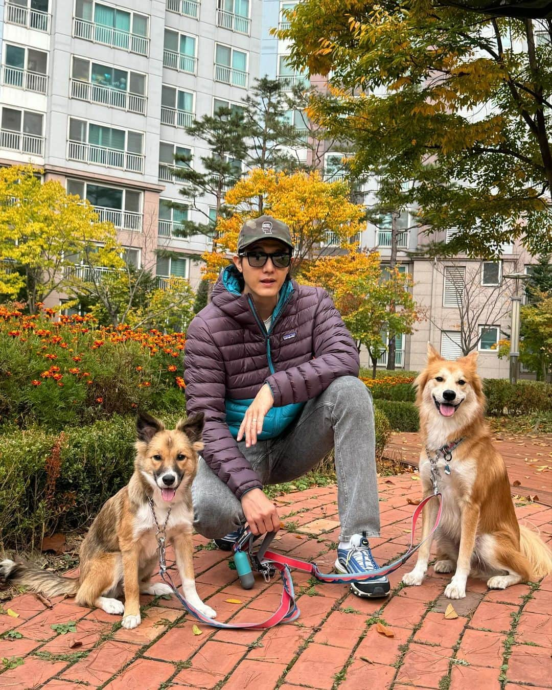 イ・ギウさんのインスタグラム写真 - (イ・ギウInstagram)「🍁 곧 겨울이 올 것 같다 얘들아. 털 있어서 좋겠네😎 더 늦기 전에 단풍놀이 가을 바다 보러가자!!  #사지마세요입양하세요 #유기견에서반려견으로  #가족 #일상 #ootd #주말기록」11月4日 16時31分 - lee_kiwoo