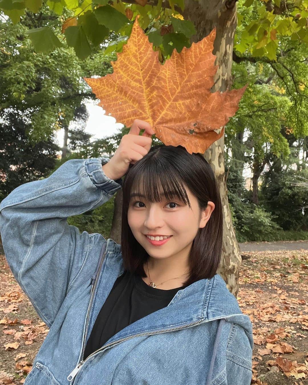 佐々木ほのかのインスタグラム：「🍁🍂🐿🌰」