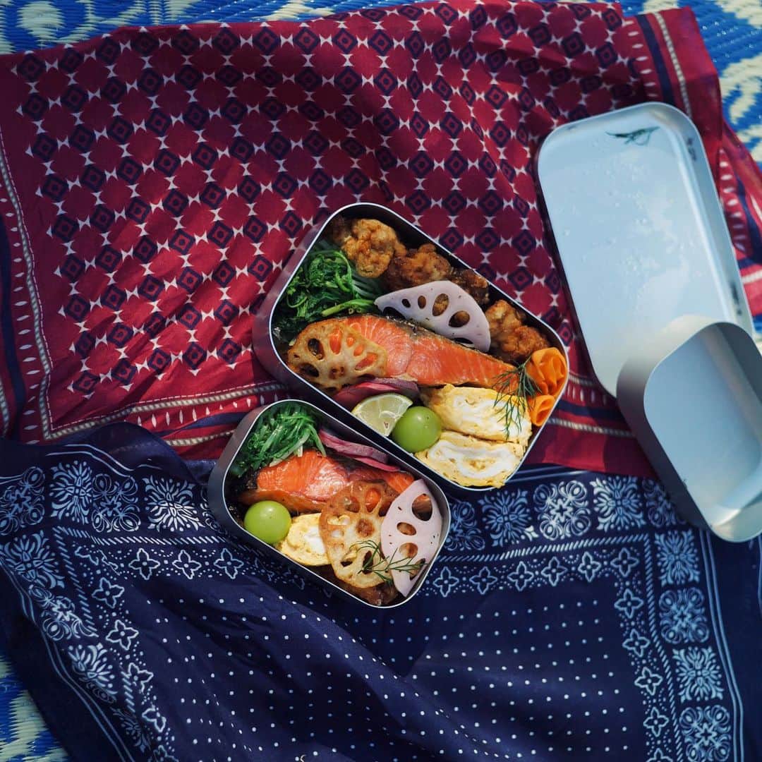 安井達郎さんのインスタグラム写真 - (安井達郎Instagram)「鮭弁最高！  #ピクニック #leicam9」11月4日 16時36分 - tatsuroyasui