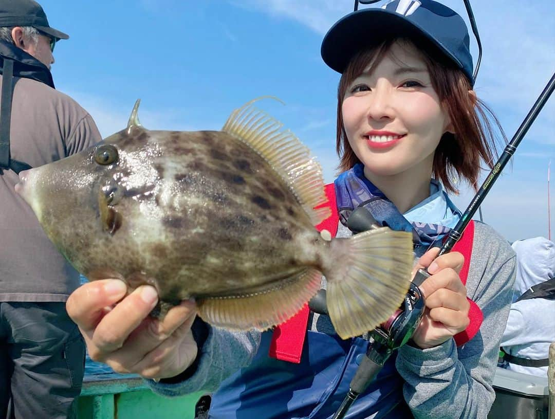 井上直美さんのインスタグラム写真 - (井上直美Instagram)「今日はテイルウォーク韓国フィールドスタッフ御一行様が日本に来られているという事で茅ヶ崎の一俊丸さんからカワハギミーティング♡ 韓国でもカワハギ釣りはあるみたいなんですがそこまでメジャーじゃないそうで今回は日本の釣り方で楽しんで来ました（＾ω＾） って、釣れ過ぎー！こっちのエリアは天国なのか！？カワハギも素直で釣りやすい♪サイズは小ぶりながらもナイスなサイズも数枚混じりました♪言葉では上手く伝わらなくても釣りという共通の趣味があるからわかりあえる感じ♡釣りって素敵だねえ。皆様お疲れ様でした。  🐟タックルデータ🐟 ロッド♡アルファタックル アルファソニックカワハギ170MH リール♡テイルウォーク エランSW VTN 73L ライン♡PE0.8号 リーダー♡アプロード ソルトマックス ショックリーダーモバイル タイプF 16lb  　#PR  #カワハギ　#カワハギ釣り　#アルファタックル　#一俊丸」11月4日 17時39分 - naochingyo