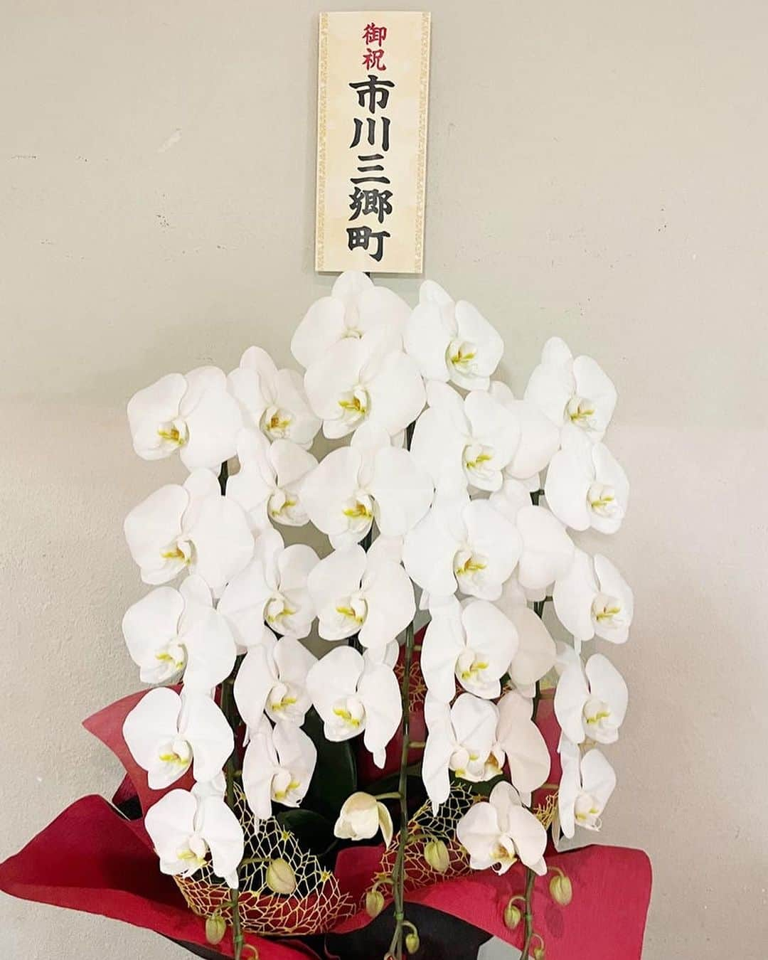 市川海老蔵 （11代目）のインスタグラム：「* Appreciation to Yamanashi performance‼️ And thank you very much for the flowers, the town of Ichikawamisato💐  山梨公演 ありがとうございました‼️  そして 市川三郷町さん お花ありがとうございます💐  #市川團十郎白猿 #市川海老蔵 #海老蔵 #市川新之助 #成田屋 #歌舞伎 #歌舞伎座 #和 #舞台 #三千世界 #ABKAI #ABMORI #ebizoichikawa #ebizo #kabuki #thunderparty #theater #theaterarts #actor #kabukiactor #japan #classic #traditionaljapan #japaneseculture #japan_og_insta #performingarts」