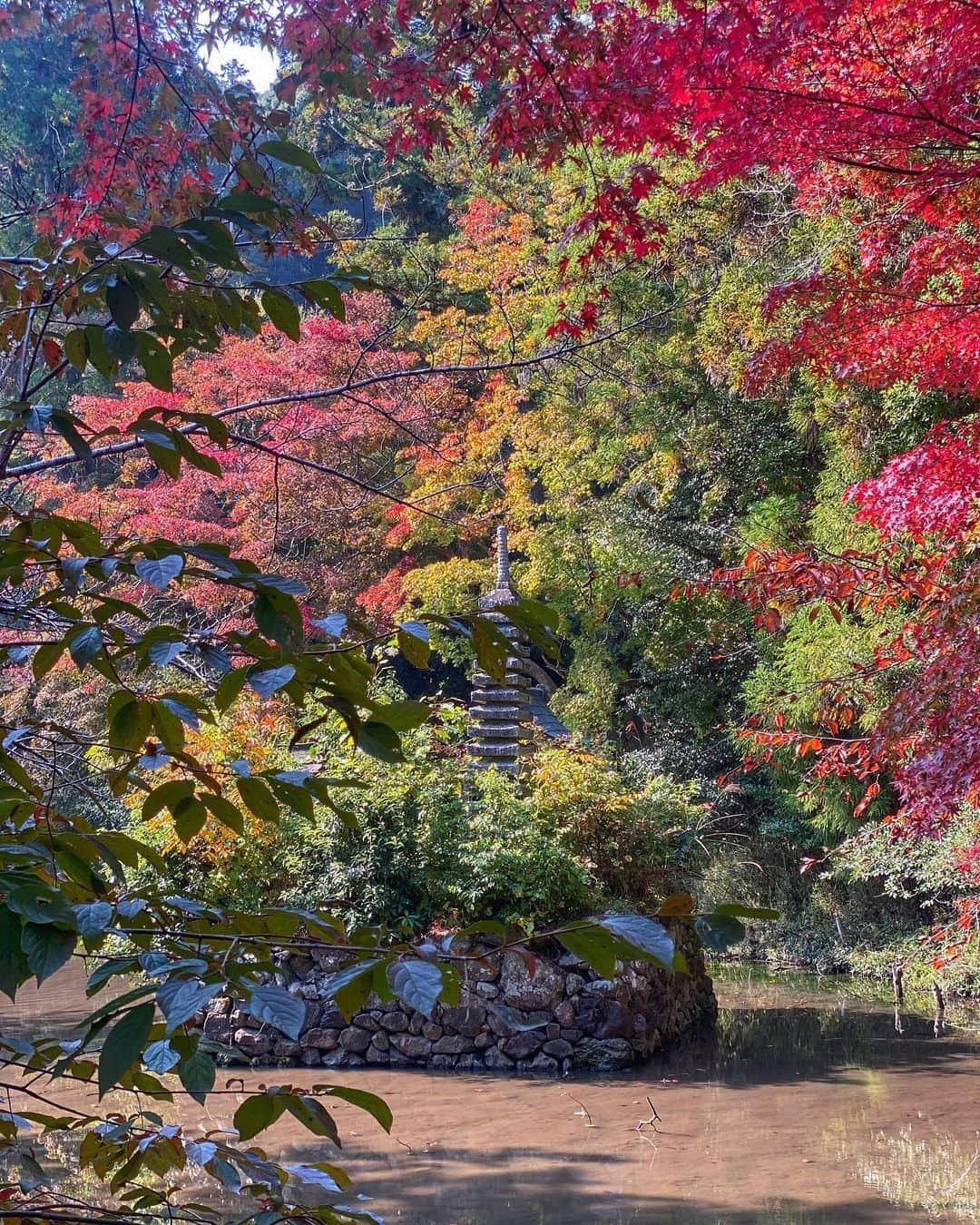 hama_aki_pppさんのインスタグラム写真 - (hama_aki_pppInstagram)「京都府亀岡市#鍬山神社 (スライドして下さい)  Location Kyoto Japan (Swipe)   2023.11.02   京都の紅葉はココから、とも言える鍬山神社ですが少し早かった😅 駐車場付近は真っ赤でしたが中はコレからと言った感じでした 赤い部分を探してそこから必死で撮った感じでした🍁🍁　  #神社仏閣  #寺社仏閣  #こころから  #おとな旅プレミアム  #そうだ京都行こう  #日本に京都があってよかった  #関西でお写んぽ  #タビジェニ　 #京都大人旅  #日本庭園  #japanese_gardens  #japanesetemple  #jalan_travel  #japanautumn  #loves_united_kyoto  #visitjapanjp #zekkeipicture  #autumn_leaves  #iphonephotography  #jalan_travel  #sorakataphoto  #kyototemple  #cooljapanvideos  #deaf_b_j_  #total_japan  #japanesegarden  #iphonephotographer  #iphoneonly  #special_spot_  #special_spot」11月4日 17時58分 - hama_aki_ppp