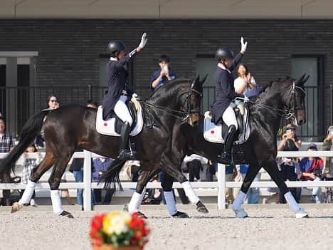 林伸伍のインスタグラム：「馬事公苑リニューアルオープンイベント 馬場馬術エキシビジョン スコラリとウラカンによるパドドゥ無事に終わりました👯‍♂️ ご覧いただいた皆様ありがとうございました イベントは今日、明日も続きます よろしくお願いします😄  📷@shogonobuta」