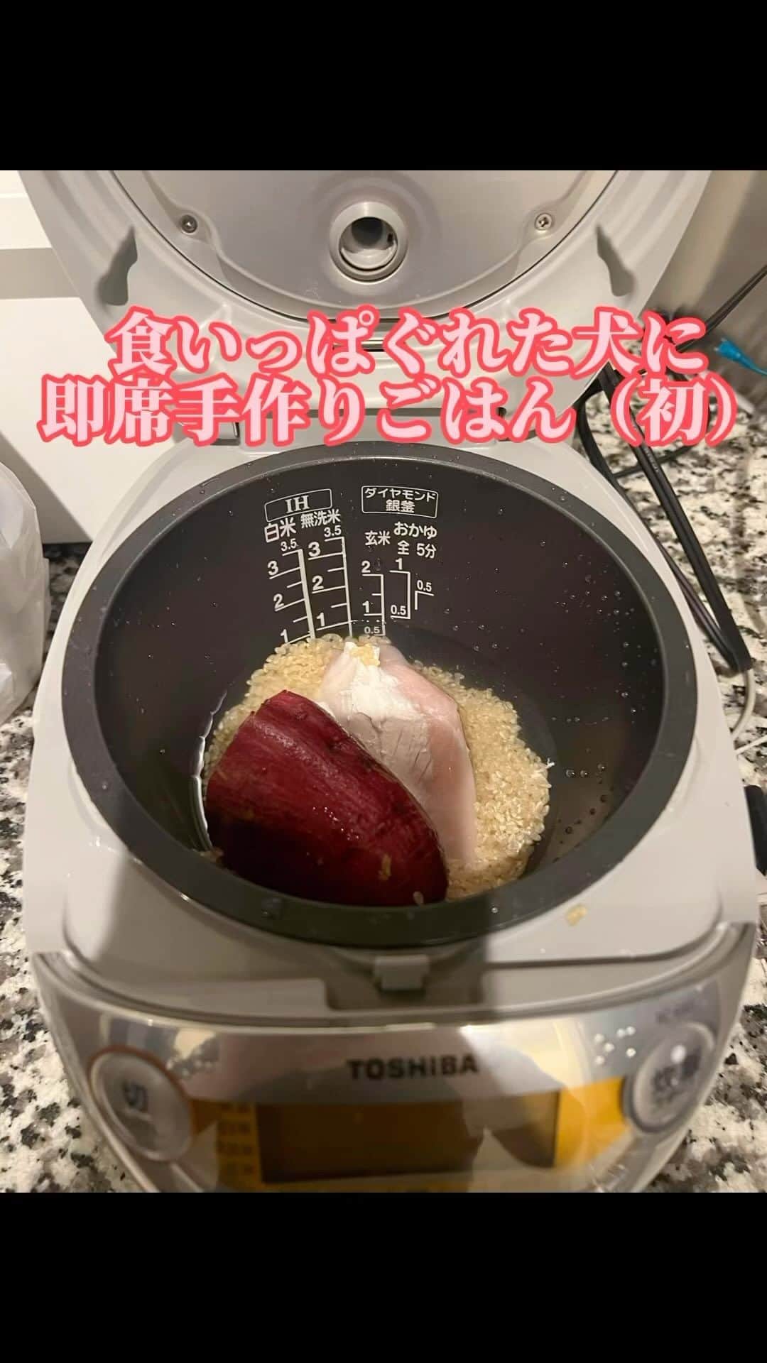 関根理紗のインスタグラム：「食いっぱぐれた犬に、初めての手作り炊飯器ご飯🐶🍠  #食いっぱぐれた犬　#サブスクエラー怖い　#人生で作ったご飯の中で1番美味しそうに食べてくれた　#意識高い系ごはん　#犬ご満悦　#久石譲」