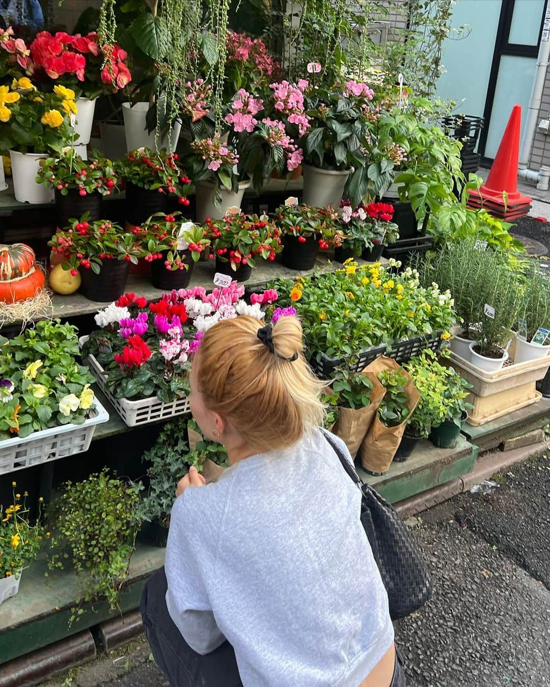 柴田紗希のインスタグラム：「おはようとともにお知らせ〜🫶🏻 渋谷ヒカリエShinQs店で、店舗のリニューアルオープンを記念して「MY」のPOP UPを開催中でございます。  ヘアゴムセレクトしました☺︎ (かげのテーマ:グレーのスウェットに合わせたい。) POP UP開催期間：10月26日(木) ～ 11月26日(日) 柴田紗希セレクト / ¥1650(税込)  セレクトセットはもちろん、 ご自身でもお好きな組み合わせをお楽しめるよ。よ。  ＊オンラインストアではセレクトしたヘアゴムを特製ポーチにお入れし予約受注中。 柴田紗希セレクト / ¥1650(税込) 販売期間：10月26日(木) 10:00 ～ 11月27日(月) 9:59 URL： https://sanpo-online.jp/shop/g/glg010163hmx/   どれーもナチュラルで絶妙なかんじで おきにだよ💜 めちゃ使っております。感謝〜♡♡♡ 自分でセレクトも楽しいと思うからぜひに！わくわく！  #PR #アネモネ #アネモネアクセ #MY #セレクトゴム」