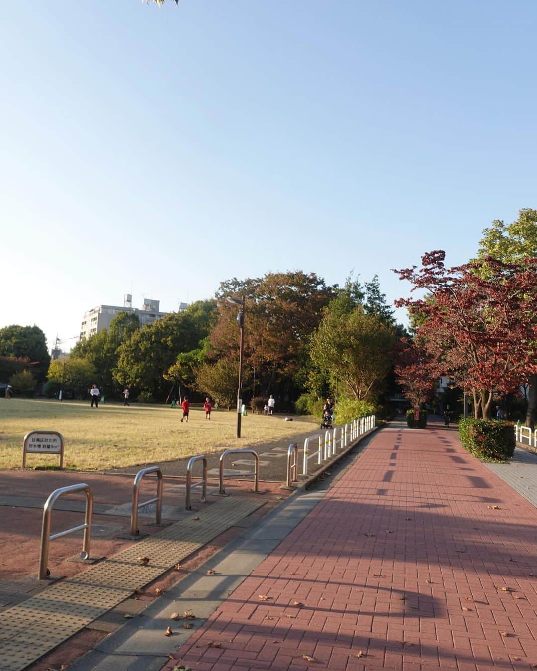 涼佳さんのインスタグラム写真 - (涼佳Instagram)「紅葉の季節🍁  コンビニで色々買って 公園行ってプチピクニック🍙 子どもたちがたくさんいていろんな声が聞こえて ほのぼのした幸せな休日でした♡」11月4日 10時59分 - _ryoka_870