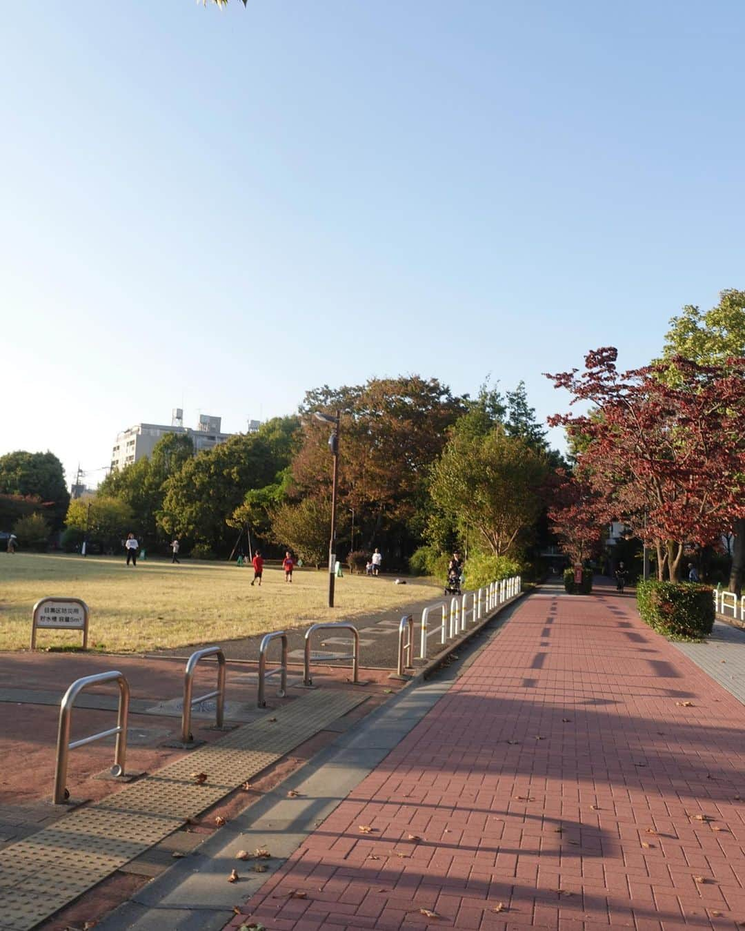 涼佳のインスタグラム：「紅葉の季節🍁  コンビニで色々買って 公園行ってプチピクニック🍙 子どもたちがたくさんいていろんな声が聞こえて ほのぼのした幸せな休日でした♡」