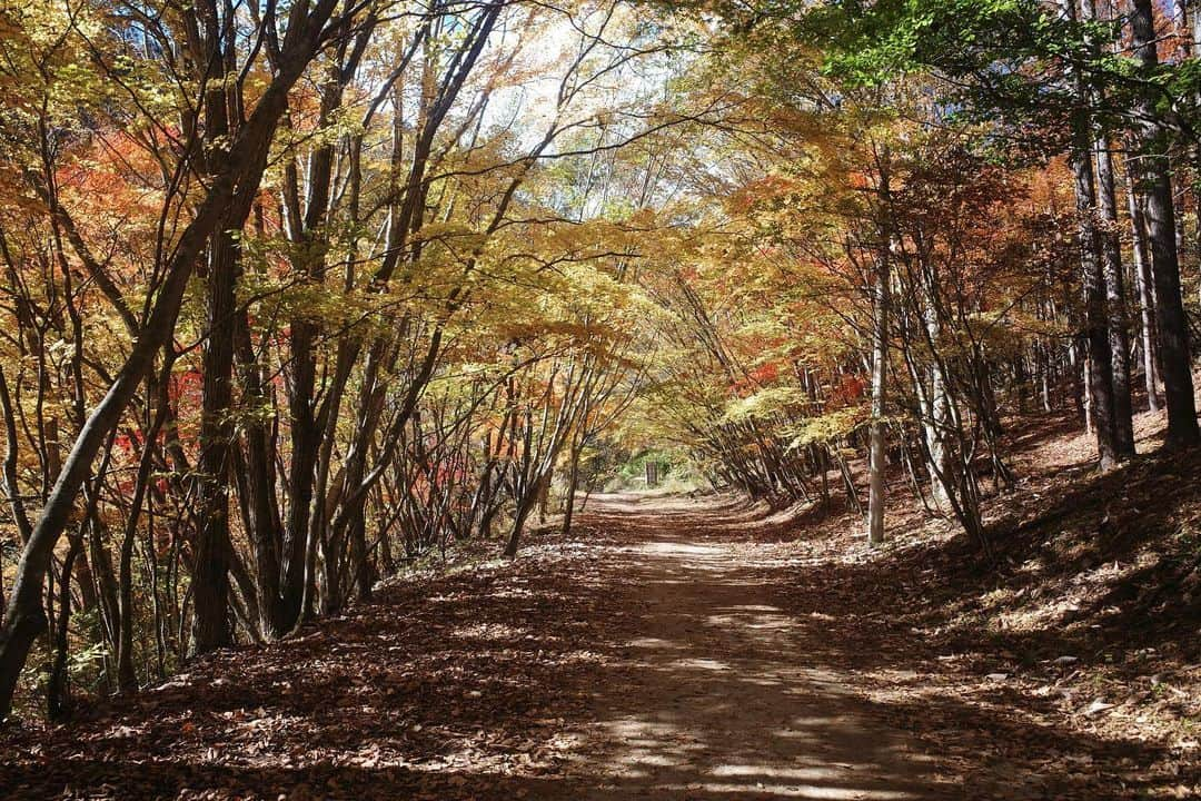 青山あみさんのインスタグラム写真 - (青山あみInstagram)「大好き姉妹との１泊２日の旅✨🍂🍁 辿り着いた先は、予想してなかった景色が広がっていて 自然のpowerに心も身体もフル充電！！！🌏✨✨ 最高〜♡って何回言ったやろう。。  #refresh  #山梨」11月4日 11時15分 - aoam____i