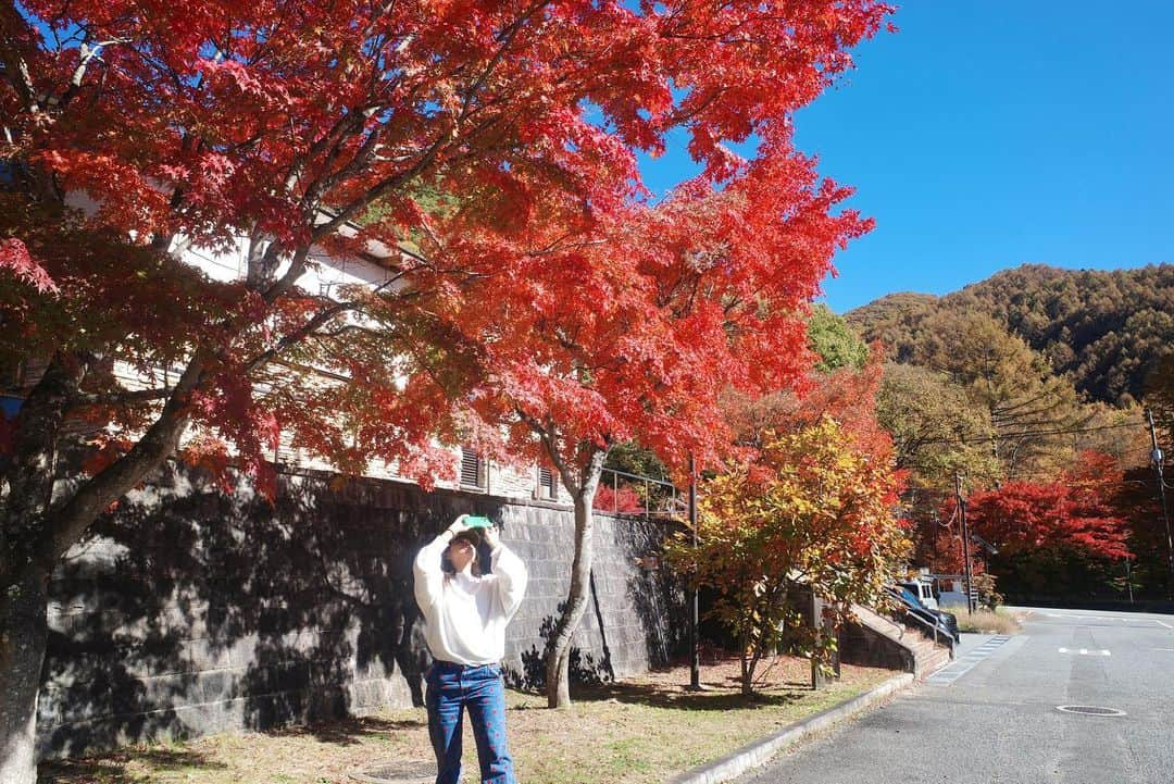 青山あみさんのインスタグラム写真 - (青山あみInstagram)「大好き姉妹との１泊２日の旅✨🍂🍁 辿り着いた先は、予想してなかった景色が広がっていて 自然のpowerに心も身体もフル充電！！！🌏✨✨ 最高〜♡って何回言ったやろう。。  #refresh  #山梨」11月4日 11時15分 - aoam____i