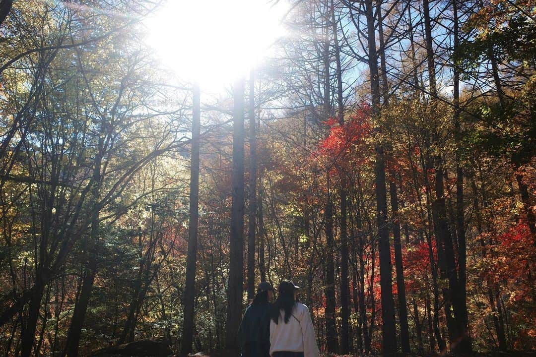 青山あみさんのインスタグラム写真 - (青山あみInstagram)「大好き姉妹との１泊２日の旅✨🍂🍁 辿り着いた先は、予想してなかった景色が広がっていて 自然のpowerに心も身体もフル充電！！！🌏✨✨ 最高〜♡って何回言ったやろう。。  #refresh  #山梨」11月4日 11時15分 - aoam____i