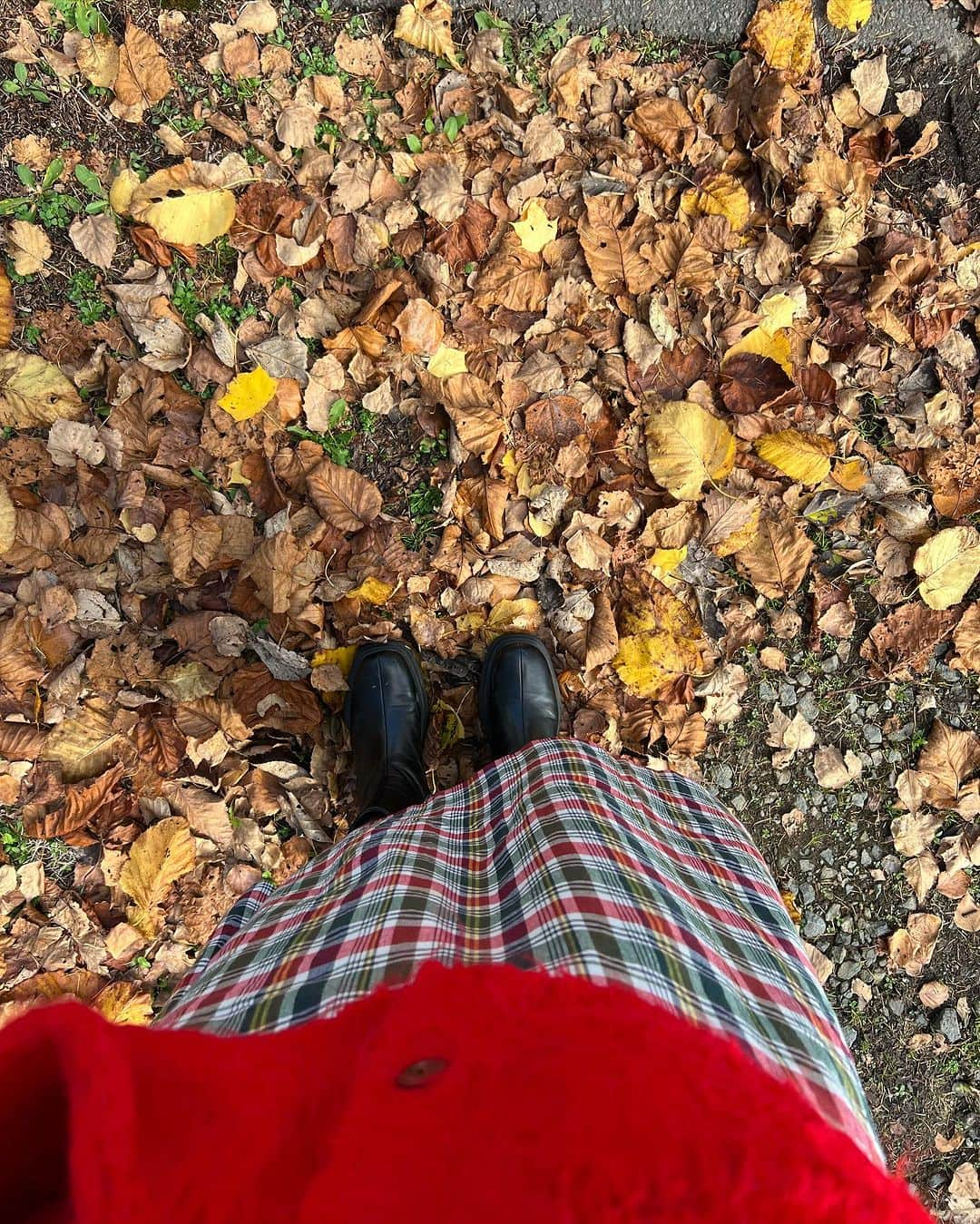 平アスカのインスタグラム：「北海道で秋を感じています🍂  札幌で極上にスペシャルな夜の時間を過ごした後、小樽を通ってニセコへ。  だいすきな山口一郎さんの地元小樽！！！ 小樽市観光物産プラザで山口さんコーナー発見！小さいときの写真とか絵とか可愛すぎた♥️  お気に入りのお鮨屋さんでランチしてニセコとうちゃーく！  道中山々の紅葉🍁がすごく綺麗だった、、☺️ もうすぐ雪も降るだろうし、貴重な秋を楽しみまーす！ . . . #ニセコ #北海道 #秋の北海道 #小樽 #小樽市観光物産プラザ #山口一郎 #山口一郎 #北海道旅行 #niseko #hokkaido #japan #otaru #autumn #sakanaction #サカナクション #サカナクション好きな人と繋がりたい」