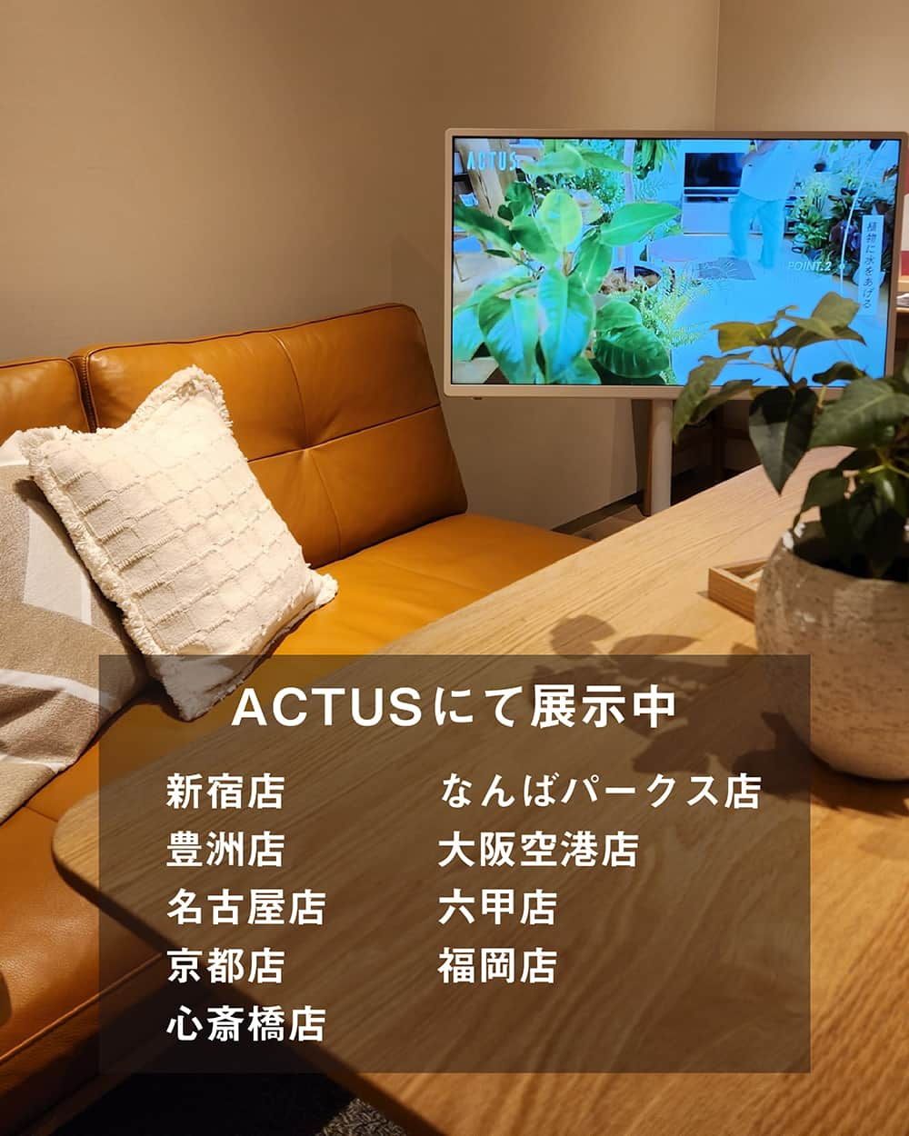 Panasonic ふだんプレミアムさんのインスタグラム写真 - (Panasonic ふだんプレミアムInstagram)「. レイアウトフリーテレビ ACTUSにて展示中🎉  丁寧な暮らしを提案するライフスタイルストアACTUS（アクタス）  @actus_press の全国９店舗にて、パナソニックの「レイアウトフリーテレビ」を展示中🎉  ■展示店舗� ・新宿店 @actus_shinjuku ・豊洲店 actus_toyosu ・名古屋店 @actus_nagoya ・京都店 @actus.kyoto ・心斎橋店 @actus_shinsaibashi ・なんばパークス店 @actus_nambaparks ・大阪空港店 @actus_osaka_airport ・六甲店 @actus_rokko ・福岡店 @actus_fukuoka  ※アクタス店舗ではレイアウトフリーテレビをご購入いただけません。　商品に関するお問い合わせはパナソニックお客様相談センターにて承ります。予告なく展示を終了する場合があります。  360度どこから見ても美しくスタイリッシュなデザインのレイアウトフリーテレビは、上質なインテリアにも馴染んでくれるはず。ACTUSのステキなインテリア空間で、リビングやダイニングのテレビの設置イメージをふくらませてはいかがでしょうか？ ご来店をお待ちしております♪  ----------------------------------------- 見たい場所まで手軽に動かせる レイアウトフリーテレビ ■TH-43LF1（2TBハードディスク内蔵） ■TH-43LF1L（USBハードディスク録画対応） ※オープン価格(価格は販売店にお問い合わせください)  ▼テレビに関するお問い合わせ https://panasonic.jp/viera/support -----------------------------------------  #くらしスタイルシリーズ #レイアウトフリーテレビ #レイアウトフリー #テレビ台 #インテリア #インテリア好き #インテリア好きな人と繋がりたい #ダイニング #リビング #おうち時間 #おしゃれ家電 #おすすめ家電 #暮らしを楽しむ #パナソニック家電 #パナソニック #Panasonic」11月4日 12時00分 - panasonicjp