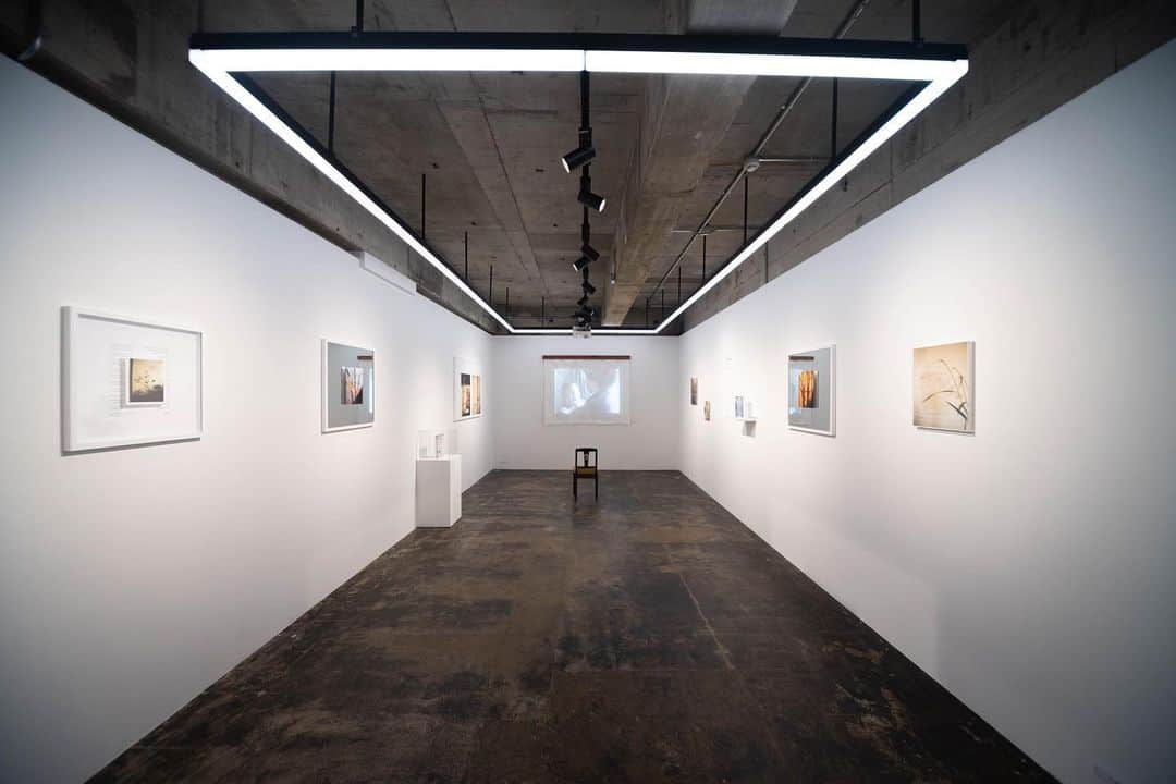 奥山由之のインスタグラム：「【展覧会開催中】 写真集『flowers』の増刷を記念して、京都のPURPLEにて写真展を開催しております。（関西では初めての個展です） 作品もご購入いただけます。是非お越しください。 purple-purple.com  /////  奥山由之「flowers」展 会期：2023年10月25日（水） - 11月26日（日） 時間：13:00 - 20:00（水・木・金） / 11:00 - 19:00（土・日） 休廊：月曜・火曜 会場：PURPLE @purple_kyoto（京都府京都市中京区式阿弥町122-1 式阿弥町ビル 3階）  《以下、プレスリリースより》 ー花を媒介とした、亡き祖母との対話ー 「flowers」は奥山由之の亡き祖母が暮らしていた家で長年撮影されてきたシリーズです。この場所をいま自身のアトリエとする奥山は、射し込む光に、庭に揺れる草木に、生前の祖母を偲び、多くはなかった会話をあらためて紡ぐように、花を撮り重ねてきました。 写真集の再販に合わせて開かれる本展では、「flowers」から選ばれた写真と映像をそれぞれ異なるフレームやしつらえを施しPURPLEの空間に展開します。物として立ち現れるこれらのイメージには、本作の立体的な奥行き、眼差しや感覚の混交に、幅のある時間・歴史が息づくことでしょう。  ー  【Exhibition Now Open】 To commemorate the additional print run of the photo book "flowers," we are hosting an exhibition at PURPLE in Kyoto. (This is the first solo exhibition in the Kansai region.) Artworks are also available for purchase. Please come and visit us. purple-purple.com  /////  Yoshiyuki Okuyama "flowers" Exhibition Duration: October 25th (Wed), 2023 - November 26th (Sun), 2023 Hours: 13:00 - 20:00 (Wed/Thu/Fri) / 11:00 - 19:00 (Sat/Sun) Closed: Monday & Tuesday Location: PURPLE @purple_kyoto (F3, 122-1 Shikiami-cho, Nakagyo-ku, Kyoto, JAPAN 604-8261)  《Excerpt from the Press Release》 ーConversations with my late grandmother through flowersー "flowers" is a series by Yoshiyuki Okuyama that has been photographed over three years in the house where his late grandmother lived. Now using this place as his atelier, Okuyama recalls his grandmother from the rays of light that enter the room, and the plants swaying in the garden, and as if weaving the few conversations they had once again, he has continuously captured flowers. For this exhibition, coinciding with the photo book's re-release, photos and videos chosen from "flowers" will be presented at PURPLE, each framed and arranged in different ways. These tangible images, displayed as objects, may evoke a sense of depth, a mix of perspectives and sensations, breathing a broad sense of time and history into the work.  #奥山由之 #yoshiyukiokuyama #写真展 #exhibition #flowers」