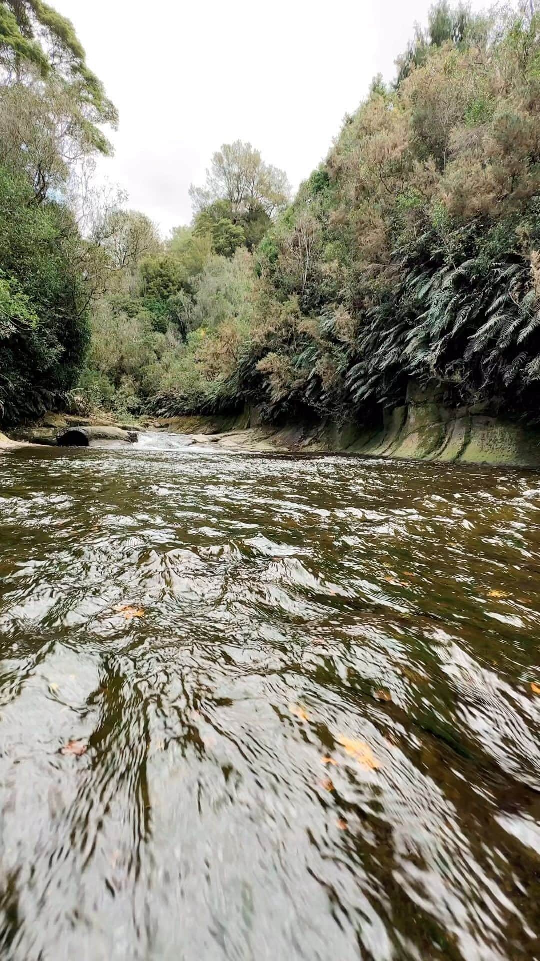 ジェネビーブ・モートンのインスタグラム：「🥰 #nature #newzealand #travel」