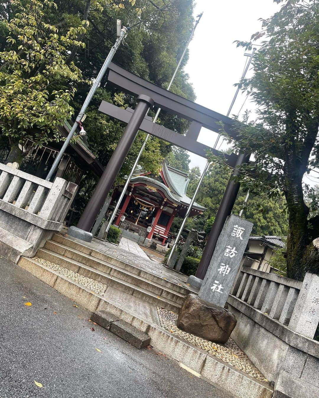 植田麻友美のインスタグラム：「諏訪神社さん✨  御祭神は  建御名方命（タケミナカタノミコト）😇  五穀豊穣や狩猟の神様が祀られてるよ🍀  手水舎にはアヒルさん沢山いてすごく可愛いの🐥⸒⸒  そして御朱印がハシビロコウ𓅫⸒⸒  パッと見て  強っ😳😳  ってびっくりした御朱印さん🍀  神主さんが鳥が大好きでハシビロコウを御朱印やお守りにデザインされたそうで🕊️  神主さんにお願いすると  フクロウを見せてくれるそうなので🦉  鳥さん好きにはたまらない⛩さん🌼  静かでとっても素敵な⛩でした🍀   #柏諏訪神社  #ハシビロコウ  #神社巡り   #神社好きな人と繋がりたい」