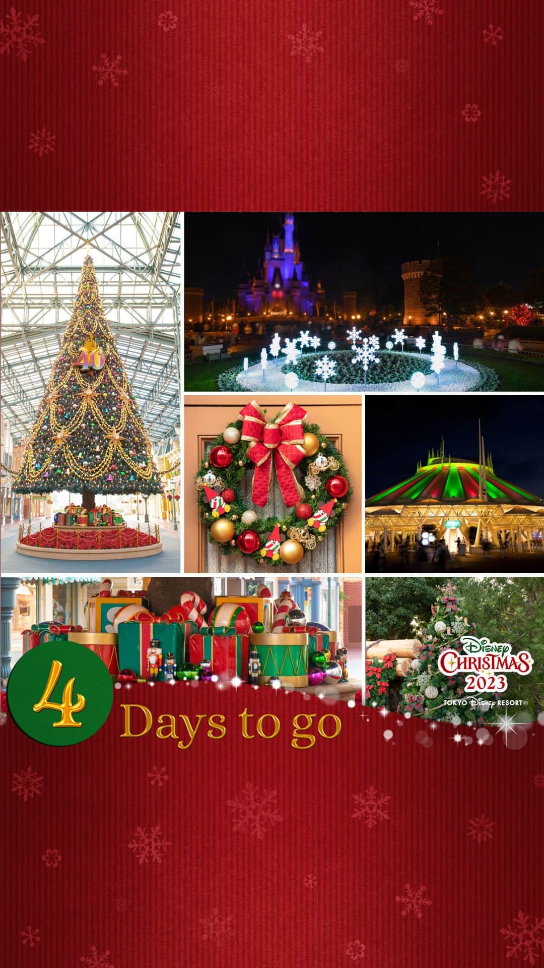 東京ディズニーリゾートのインスタグラム：「⁡ 「 #ディズニークリスマス 」の開催まで、あと4日🌟 ⁡ 東京ディズニーランドには、今年ならではの40周年のロゴがあしらわれたクリスマスツリーが登場🎄 クリスマスならではのリースやオーナメントなどのデコレーションも施され、祝祭感とファンタジックな雰囲気を楽しめます✨ ⁡ #東京ディズニーリゾート40周年 #東京ディズニーリゾート #東京ディズニーランド  #disneychristmas #tokyodisneyresort #tokyodisneyland」