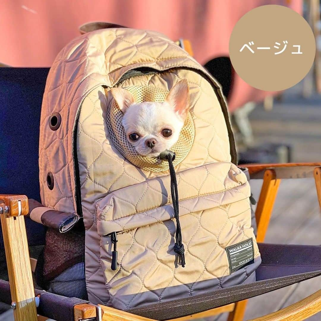 iDog&iCatさんのインスタグラム写真 - (iDog&iCatInstagram)「★再入荷★  「WALKA HOLIC オープンフェイスバックパック キルティング」  キルティングがオシャレな愛犬用リュックキャリー。 愛犬が外を覗く姿に癒されます。  両手が使えるリュックタイプは移動時にとても便利です。  適度な柔らかさで持ち運びしやすく、お出かけにぴったりです。 側面には直径約2cmの空気穴が空いています。  底面は取り外し可能の中敷きが敷いてあり、ペットの足元が安定します。  飛び出し防止リードも付いているので、いざという時安心です。  バッグ正面のファスナー付きの大きなポケット付きです。 バッグの側面にはポケットが付いており、小物やペットボトルの収納に便利です。 反対側面はメッシュ素材の小窓になっています。 必要に応じて隠したり、くるくると巻けば小窓をオープンにできます。  商品番号/16358 商品名/WALKA HOLIC オープンフェイスバックパック キルティング 5,280円(税込)  #IDOGICAT #犬の服IDOG #ICAT #IDOG #ドッグウェア #犬服 #犬の服 #犬 #dog #わんすたぐらむ #うちの子優勝 #リュックキャリー #キャリーバッグ #お散歩」11月4日 13時01分 - idogicat