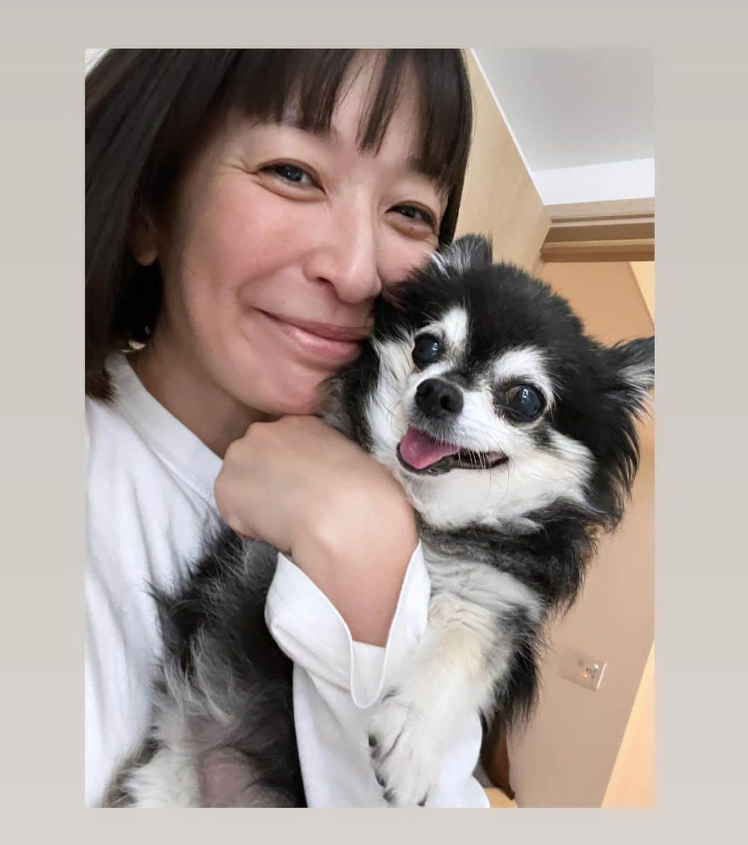 小野真弓のインスタグラム：「こんにちは😆  暑い〜 夏日ですって！☀️  早朝なのに、長袖で散歩したら汗だくになりました🙋‍♀️  連休いかがお過ごしですか❓☺️  我が家は、ハナちゃんと できるだけ一緒に過ごそう月間🦝🩷🏠 やっぱり近くに居て、細やかにケアしてあげると、、 ハナちゃんの調子が良い🥺✨  酷い日は、、 朝も夜も一日中、咳で徘徊して、 迷子になって自力で戻れなくなったり😢 おトイレに行きたいのに立ち上がれなくてパニックになったり😢 ぐっすり眠ることもできずぐったりで、、 とにかく何でも良いから楽にしてあげたい(T ^ T) という感じでしたが、、  べったり介護というわけではないのですが、 要所要所でサポートしてあげたり、 お庭で気分転換したりするだけで🌿 確実に調子が良いです🥺✨  利尿剤を変えたり、お薬のお陰もあると思うけど、 心の問題も絶対あると感じてます🥺 ナデナデしていると咳が少しおさまったり😢✨  24時間べったり一緒 というわけには流石にいきませんが、 なるべく、みんな一緒にお家で過ごそう月間。 🙋‍♀️🐏🦝🐯🐯🐈‍⬛🐻‍❄️  まだまだみんなで 楽しく過ごせますように☺️🍀  #犬と猫のいる暮らし#犬猫日記 #シニア#ハナちゃん#ゆるく介護 #過保護になりすぎないように#楽しく介護 #なるべく在宅  🏠 ハナちゃんのお陰で 在宅時間を増やしたので、 おかーさんは、片っ端から、 溜まっていた地味な地道な、お家仕事を頑張ってます😆  断捨離洋服編、一区切り。 今日は 領収書の整理、、　　  あとはご近所、猫さん活動 にゃ😆🐾」