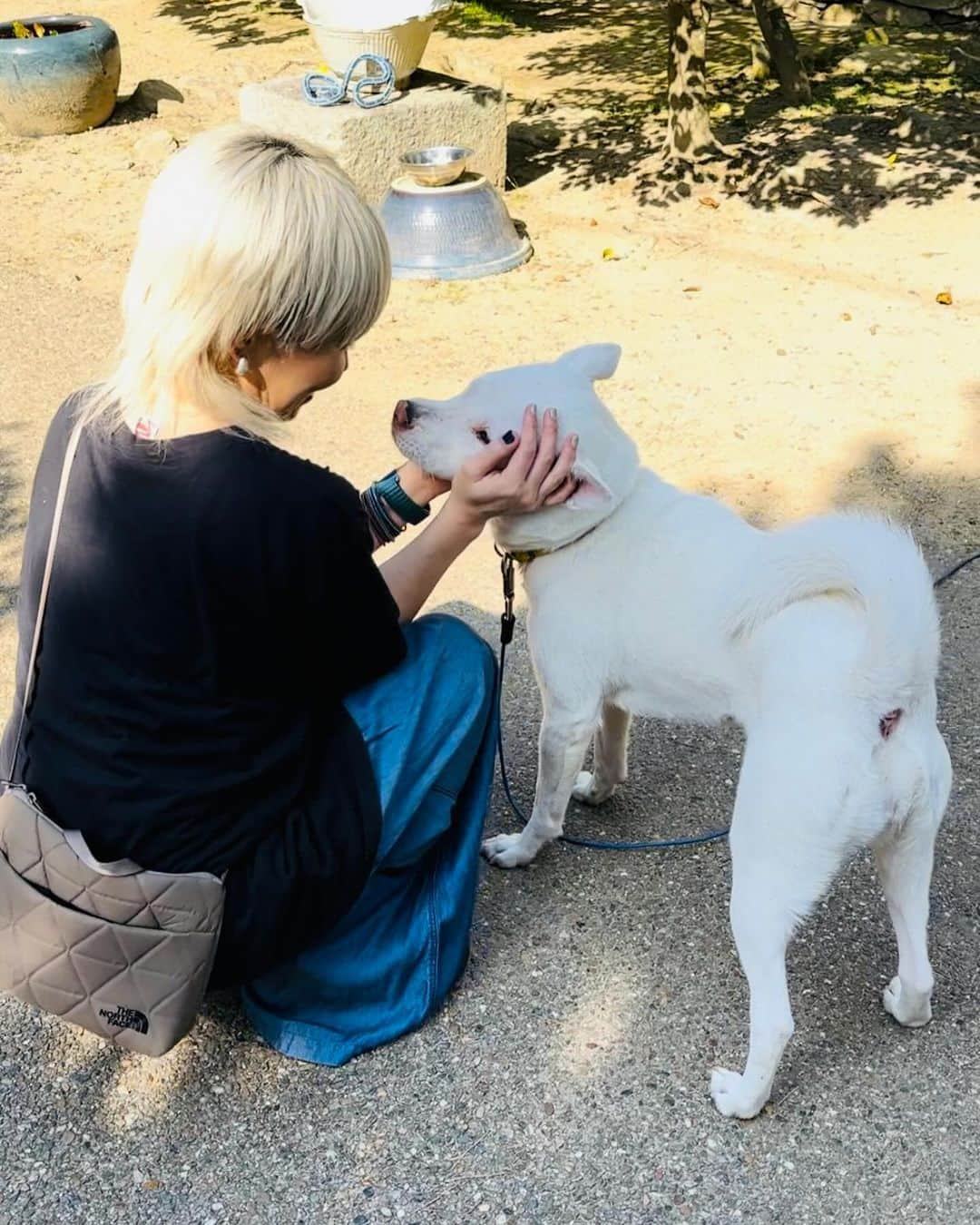 中嶋ユキノさんのインスタグラム写真 - (中嶋ユキノInstagram)「昨日のライブ会場だった 山口県山口市洞春寺の、 マル住職🐶さんに、ご挨拶のシーン🫣  すぐに仲良しになったさっちんと、 ビビりまくるなかじま。  #ふたり旅2023 #山口の街へ  🐶🐶🐶🐶🐶🐶🐶🐶🐶  #山口 #山口県 #山口市 #洞春寺 #マル住職 #萌春寺  #中嶋ユキノ  #若森さちこ #シンガーソングライター #nakajimayukino #singersongwriter #作詞作曲 #おすすめ #おすすめ曲 #songwriter #songwriting  #singer #singing #singerlife  #japan #作詞 #作曲  #applemusic #linemusic #spotify #youtube #ove #music」11月4日 13時24分 - nakajima_yukino