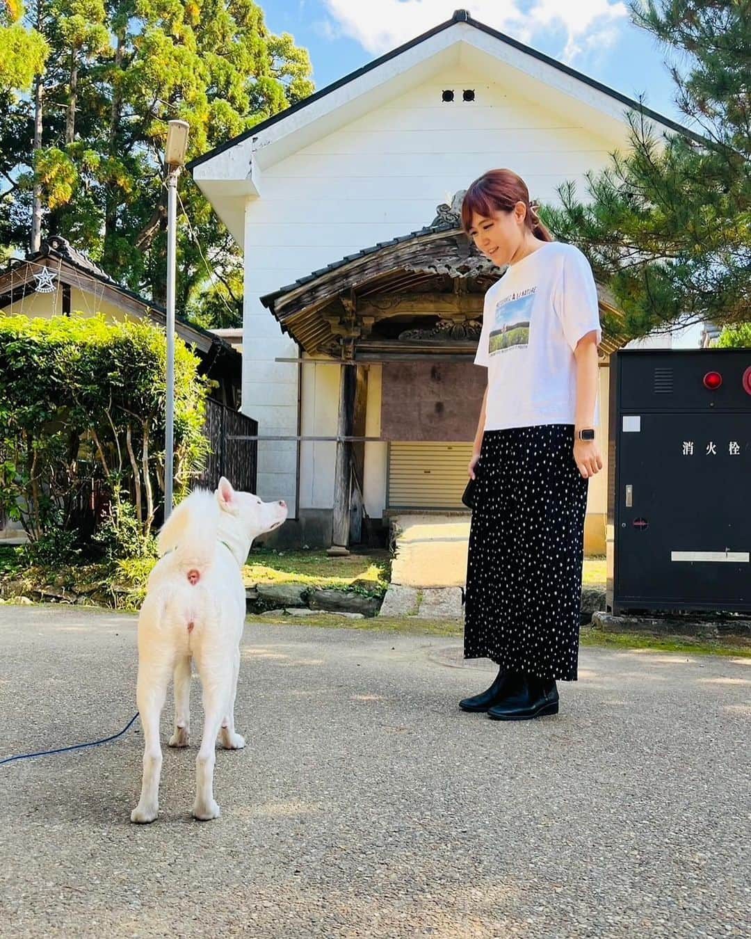 中嶋ユキノさんのインスタグラム写真 - (中嶋ユキノInstagram)「昨日のライブ会場だった 山口県山口市洞春寺の、 マル住職🐶さんに、ご挨拶のシーン🫣  すぐに仲良しになったさっちんと、 ビビりまくるなかじま。  #ふたり旅2023 #山口の街へ  🐶🐶🐶🐶🐶🐶🐶🐶🐶  #山口 #山口県 #山口市 #洞春寺 #マル住職 #萌春寺  #中嶋ユキノ  #若森さちこ #シンガーソングライター #nakajimayukino #singersongwriter #作詞作曲 #おすすめ #おすすめ曲 #songwriter #songwriting  #singer #singing #singerlife  #japan #作詞 #作曲  #applemusic #linemusic #spotify #youtube #ove #music」11月4日 13時24分 - nakajima_yukino