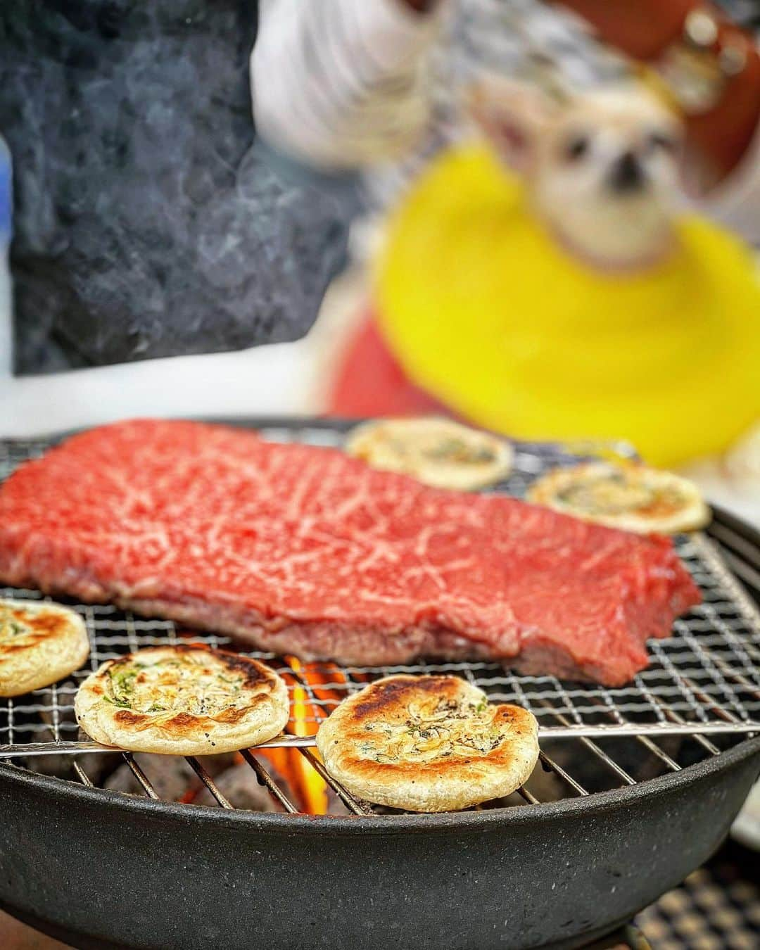 能美黎子のインスタグラム：「・ おもち🐕とネギ餅とお肉。  先週のBBQ🍖 楽しすぎて笑いすぎて幸せな休日。  @gomyoyuko さん、 本当に素敵なおもてなしをありがとうございました！ お肉も柔らかくてジューシーで ホタテも最高に美味しすぎた。 おにぎりも美味しかったなぁ🍙  おもちが可愛すぎて、癒されました日🐕 また抱きしめたい。  @norikomonji ちゃんの作ってくれた ネギ餅が美味しすぎて美味しすぎて、、 また食べたい。  #台湾妄想旅ごはん に作り方載ってるみたい！  BBQって素敵🍖  ６月にお伺いした台湾🇹🇼旅行が 懐かしく、そろそろ旅投稿でもしようかな。  #休日の過ごし方 #bbq #幸せな時間 #台湾本 #台湾旅#bbqtime #弾丸台湾 #台湾旅#台湾グルメ #台湾美食 #旅行に行きたい #愉快な仲間たち #美味しいもの #楽しい休日」