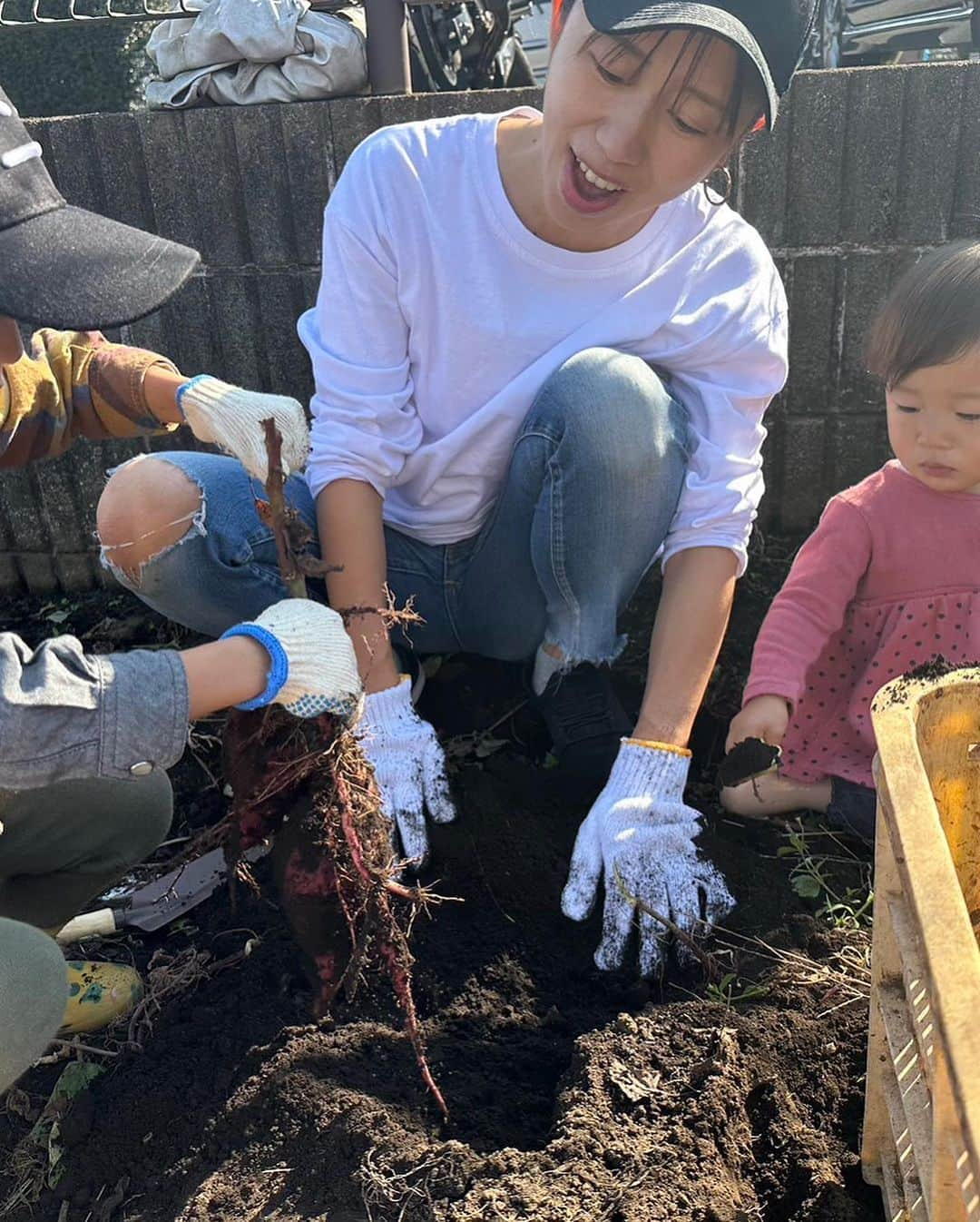 池田夢見さんのインスタグラム写真 - (池田夢見Instagram)「やったぁー！2年連続親子お芋掘り抽選に当選した🥰🙏 朝から晴天の中土いじりしてさつまいも🍠掘りなんて 幸せすぎるなぁって思いながら参加させてもらいました😚❣️  なんだかんだ毎日幸せやなぁ☺️  お土産にさつまいも🍠めっちゃもらえた❤️❤️❤️  明日から消費させてもらいますっ😋🤤  #さつまいも堀り  #家族参加 #当選  #秋のイベント」11月4日 14時09分 - ikedayumemi