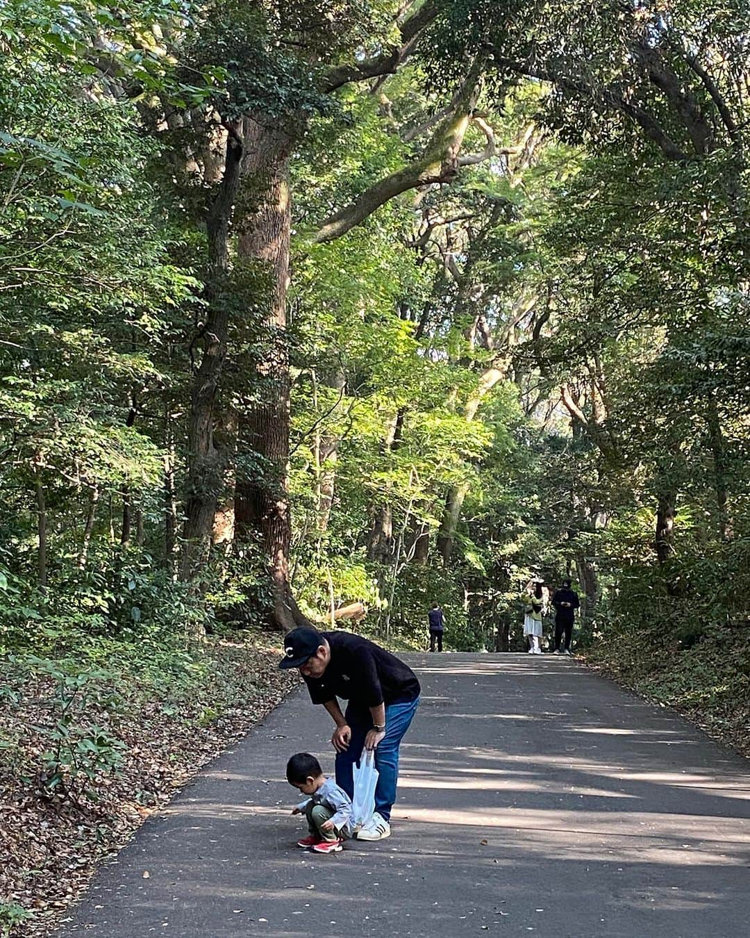 山本栄治のインスタグラム：「一嬉が  木の実を拾ってくれたけど  今日はヤマガラさん  来てくれなかった😭  #明治神宮 #ヤマガラ」