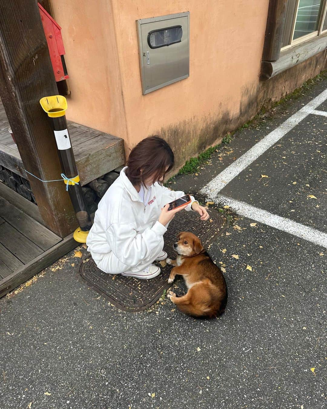 キ・ヒヒョンさんのインスタグラム写真 - (キ・ヒヒョンInstagram)「돌 같은 인생을 살고 있나 이 돌대가리 싶다가도 새로운 곳에서 맛있는 걸 먹고 좋은 옷을 입고 올해가 가기 전에 보길 잘했다 싶은 영화도 보니 그렇지 않은 것 같기도…」11月4日 14時13分 - khh1995_a