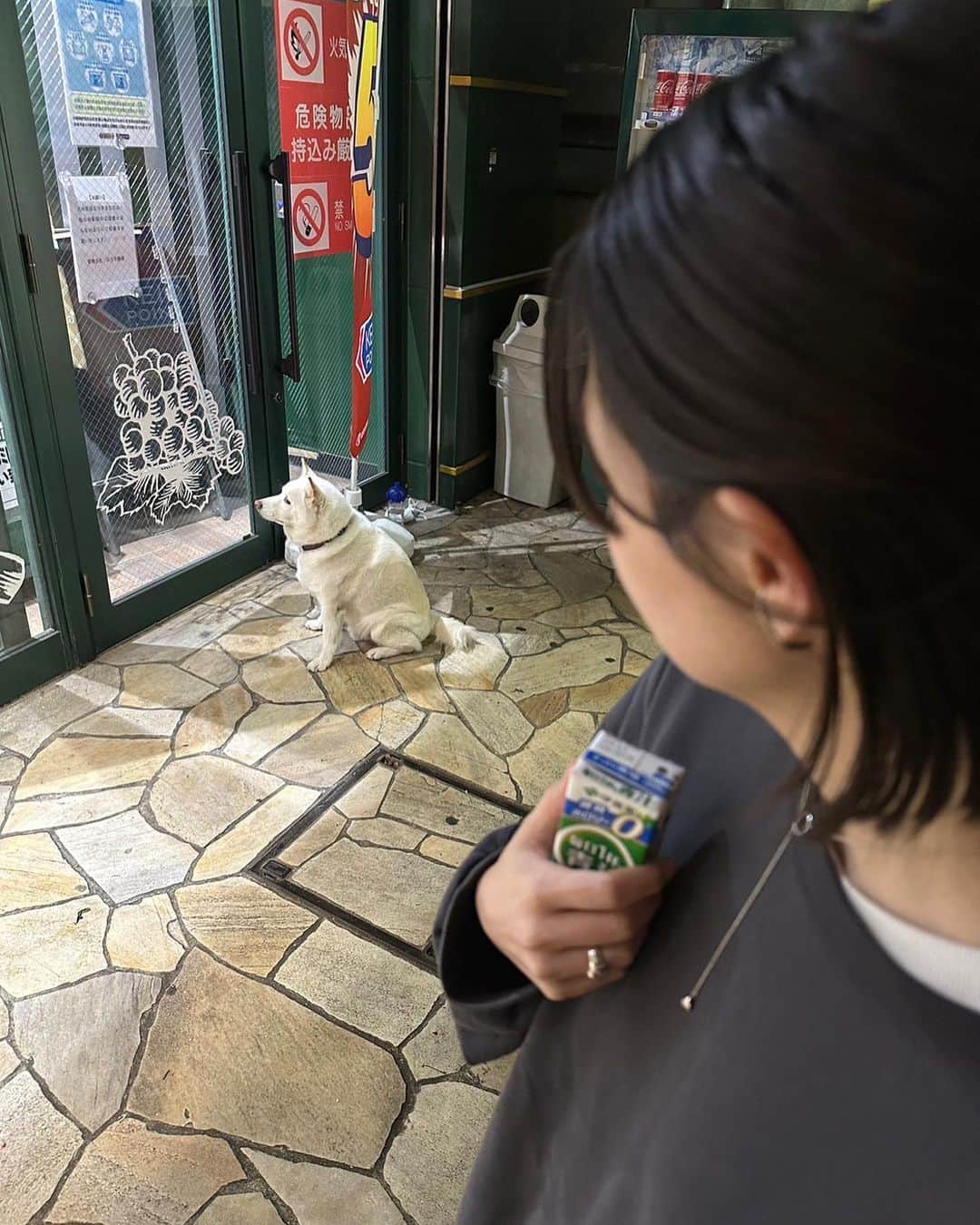瀬奈ユウリさんのインスタグラム写真 - (瀬奈ユウリInstagram)「近影です📸 髪スッキリしたよ〜💇‍♀️🌷  そしてなんだかお犬めいてる日々です🐕🍥  皆さまも良き週末を！  #近影 #眼鏡 #お犬 #サメガレイ美味しい #doggo」11月4日 14時28分 - yuuri_sena